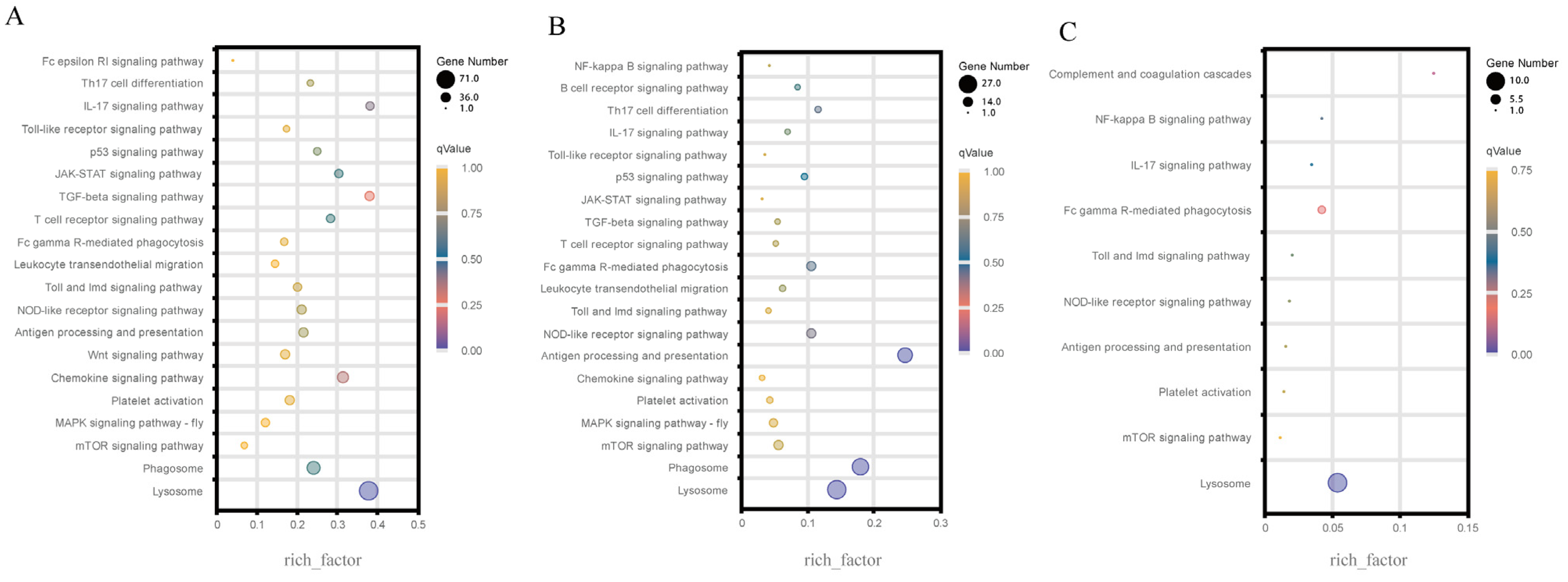 Genes 14 01383 g003 Genes 14 01383 g003