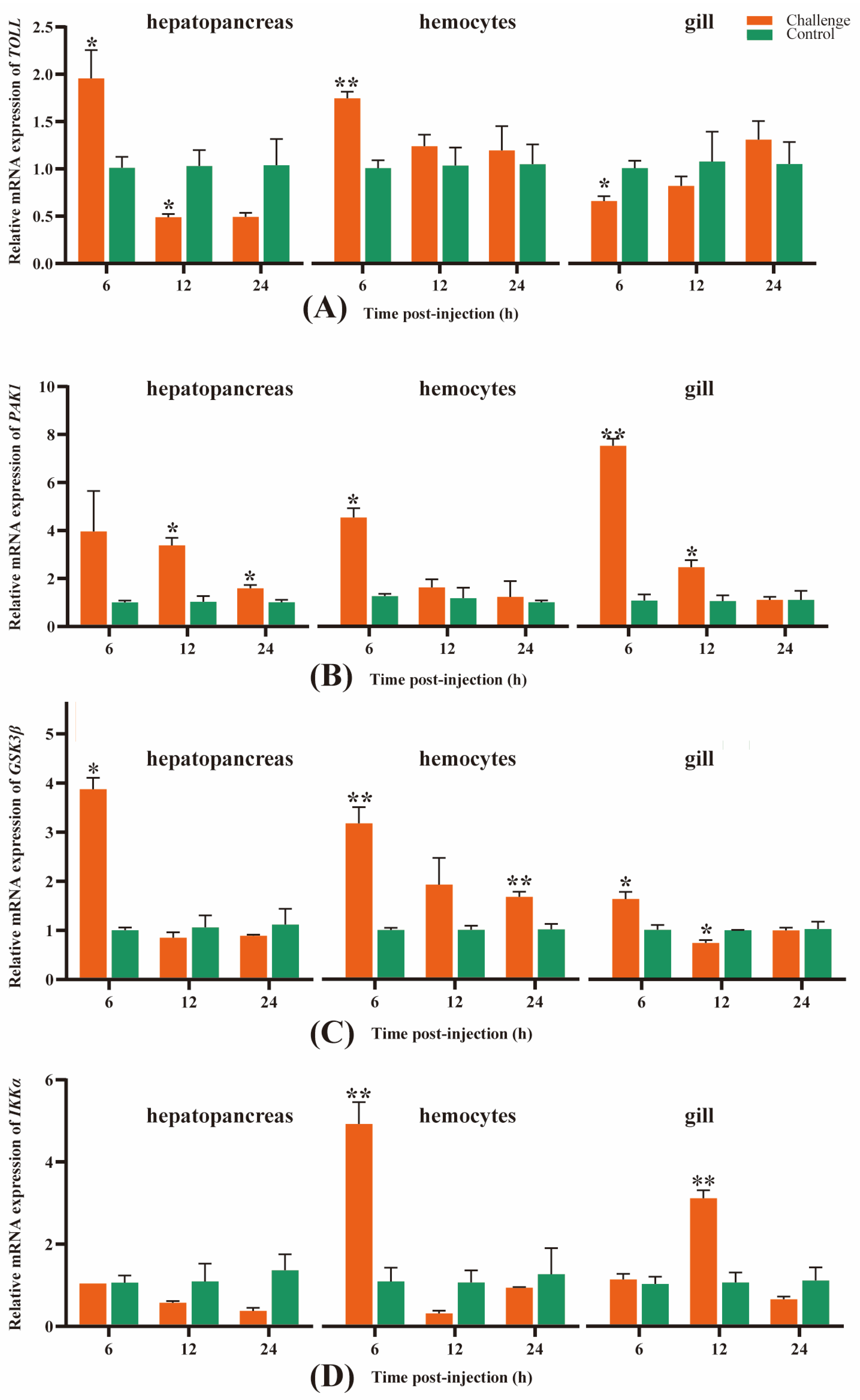 Genes 14 01383 g007 Genes 14 01383 g007