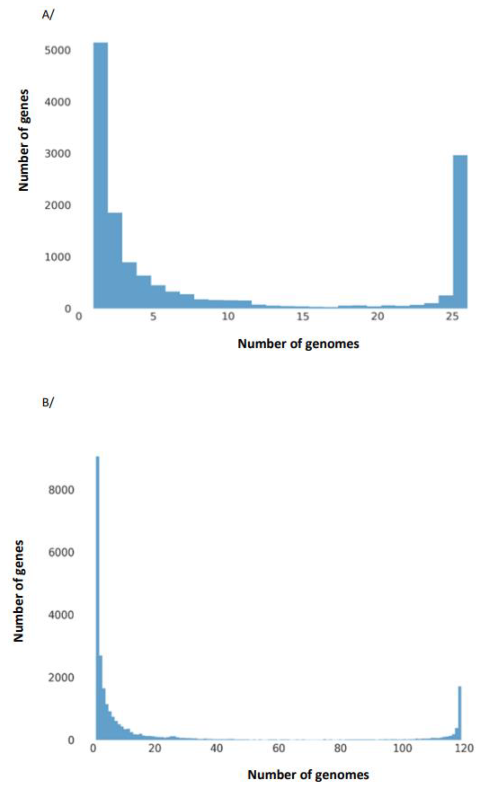 Genes 14 01384 g004 Genes 14 01384 g004