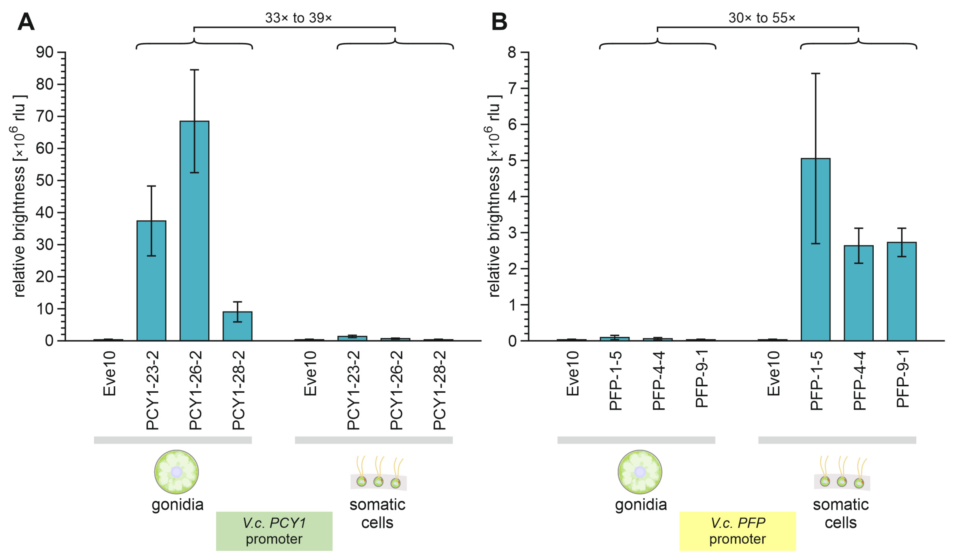 Genes 14 01389 g007 Genes 14 01389 g007