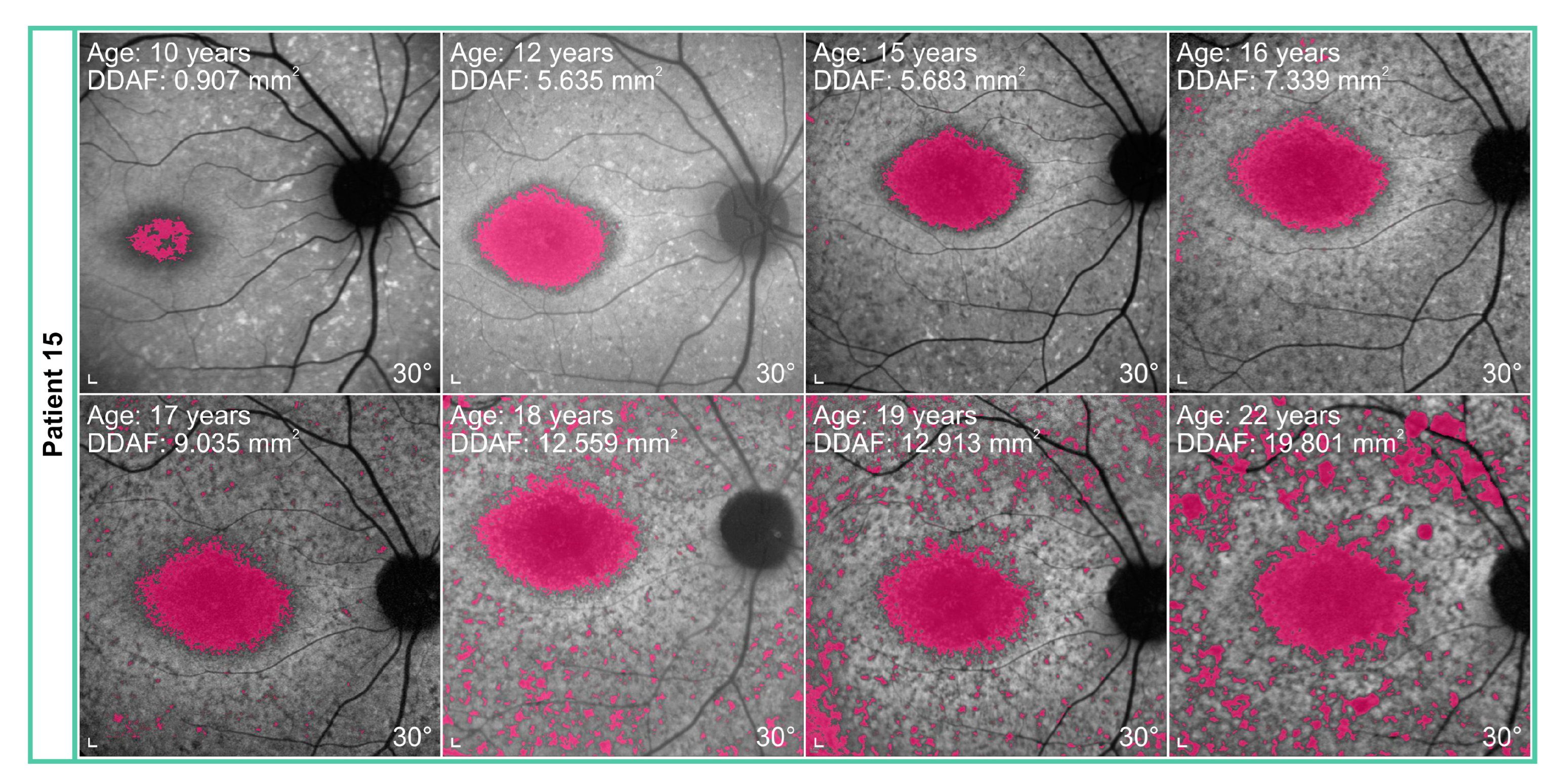 Genes 14 01394 g005 Genes 14 01394 g005