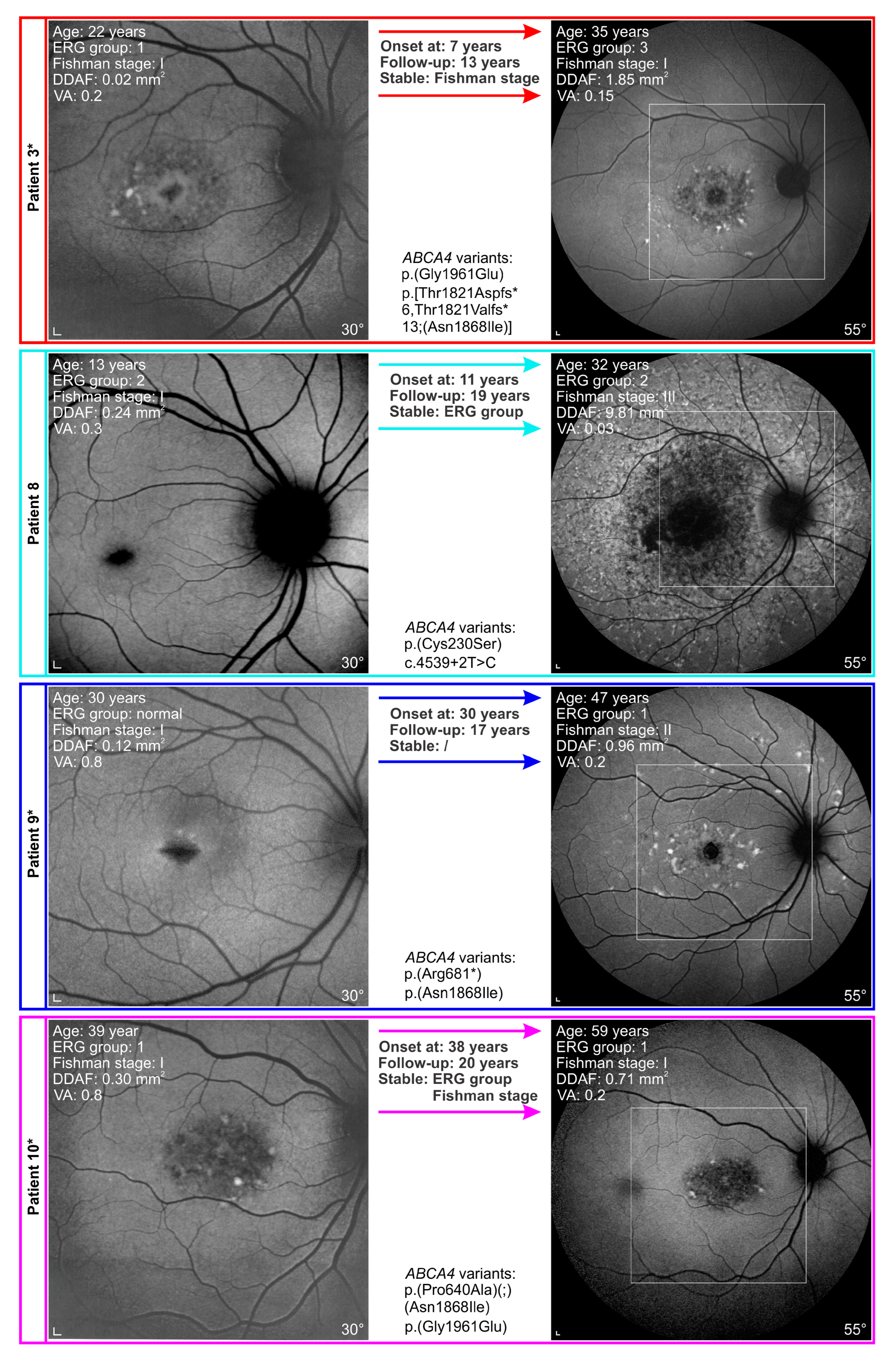 Genes 14 01394 g008 Genes 14 01394 g008