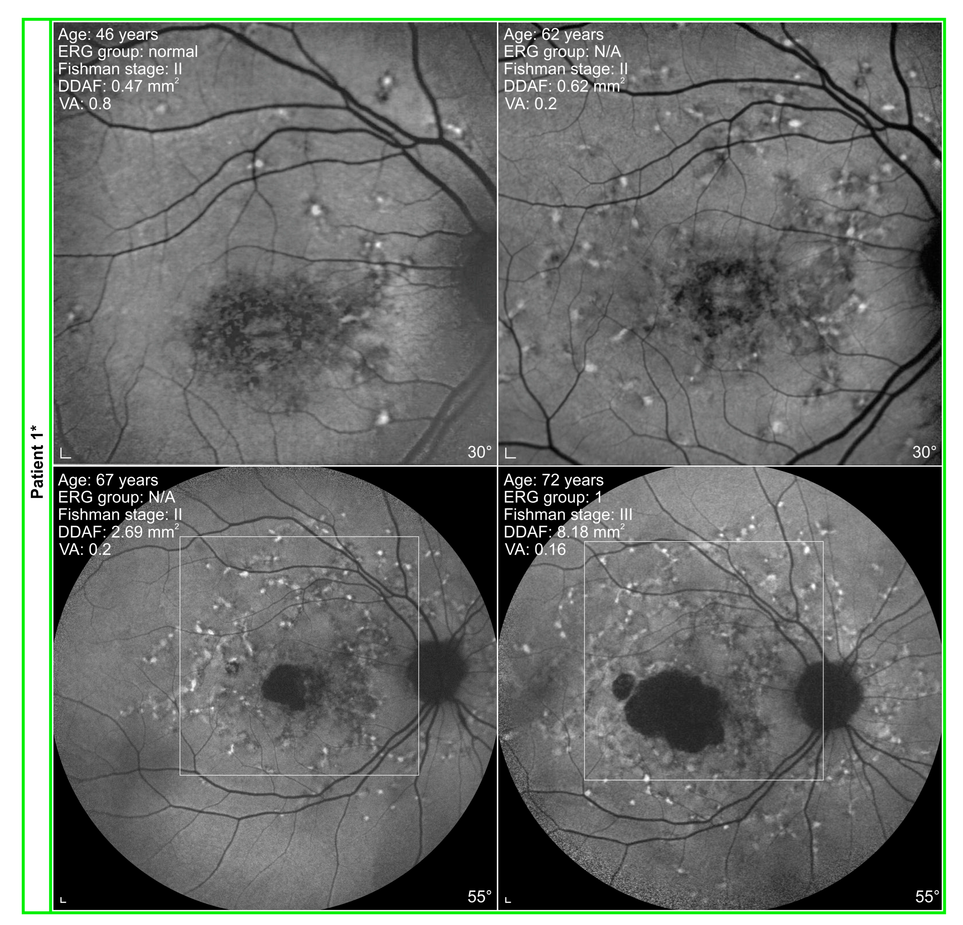 Genes 14 01394 g009 Genes 14 01394 g009