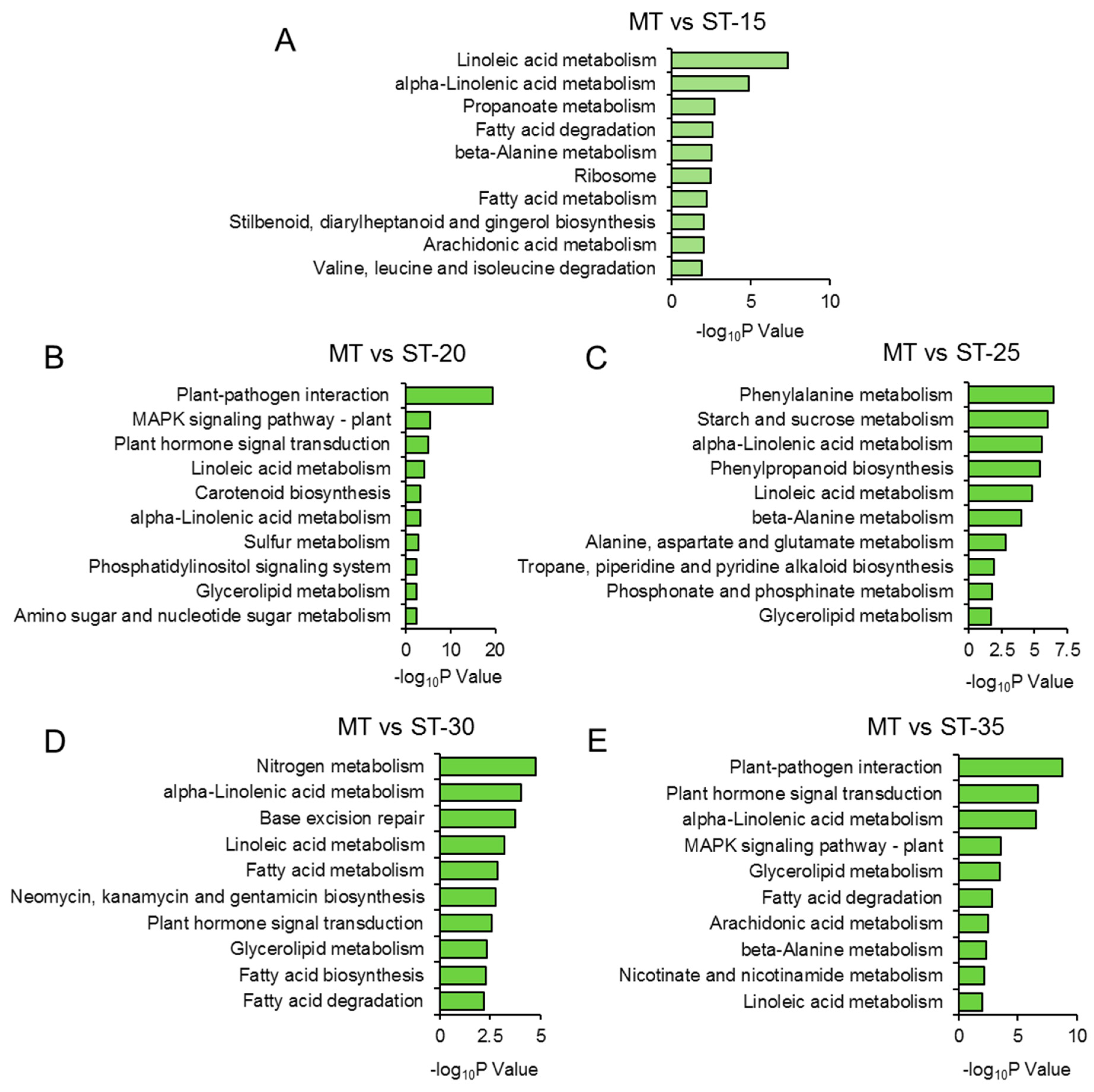 Genes 14 01396 g004 Genes 14 01396 g004