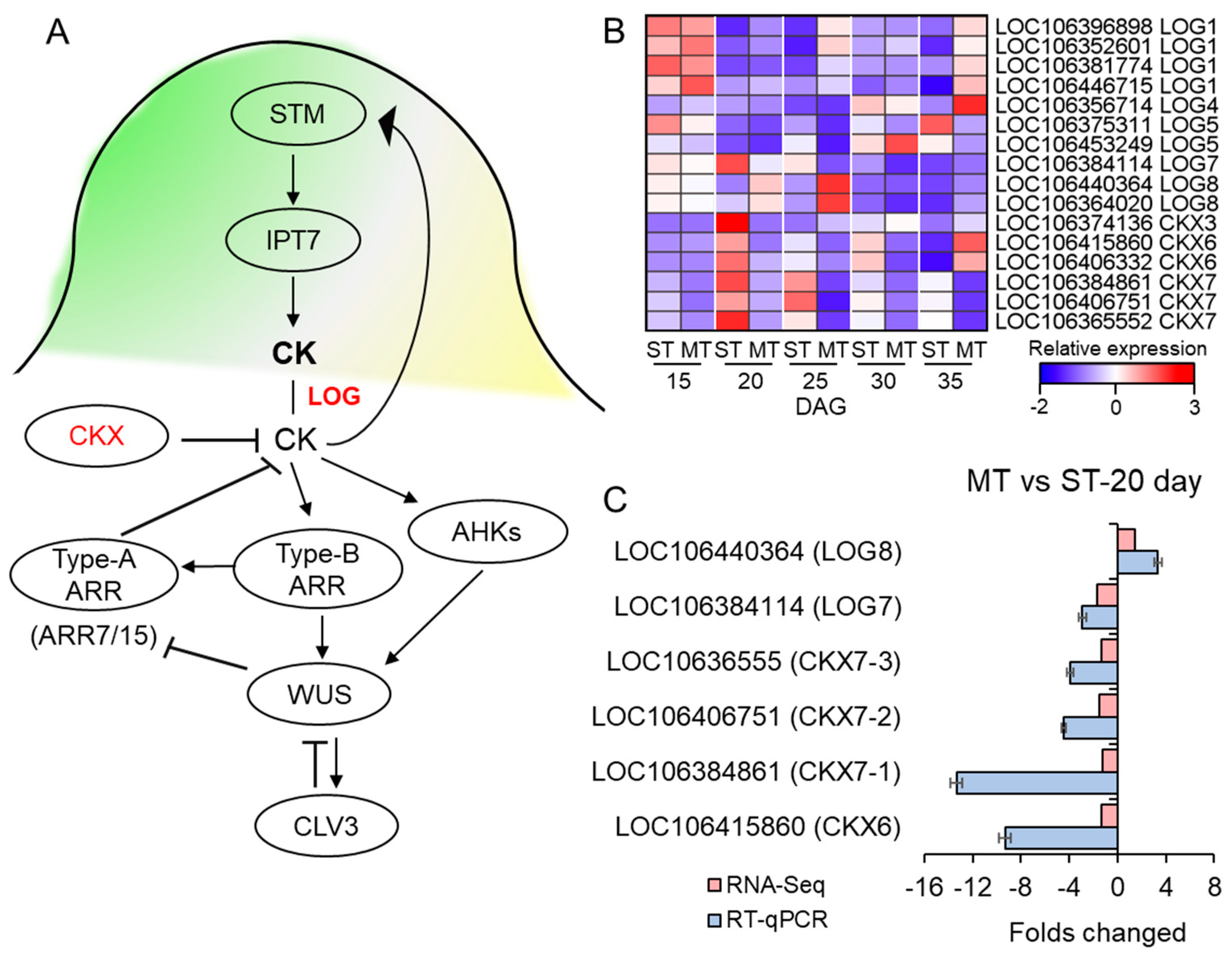 Genes 14 01396 g005 Genes 14 01396 g005
