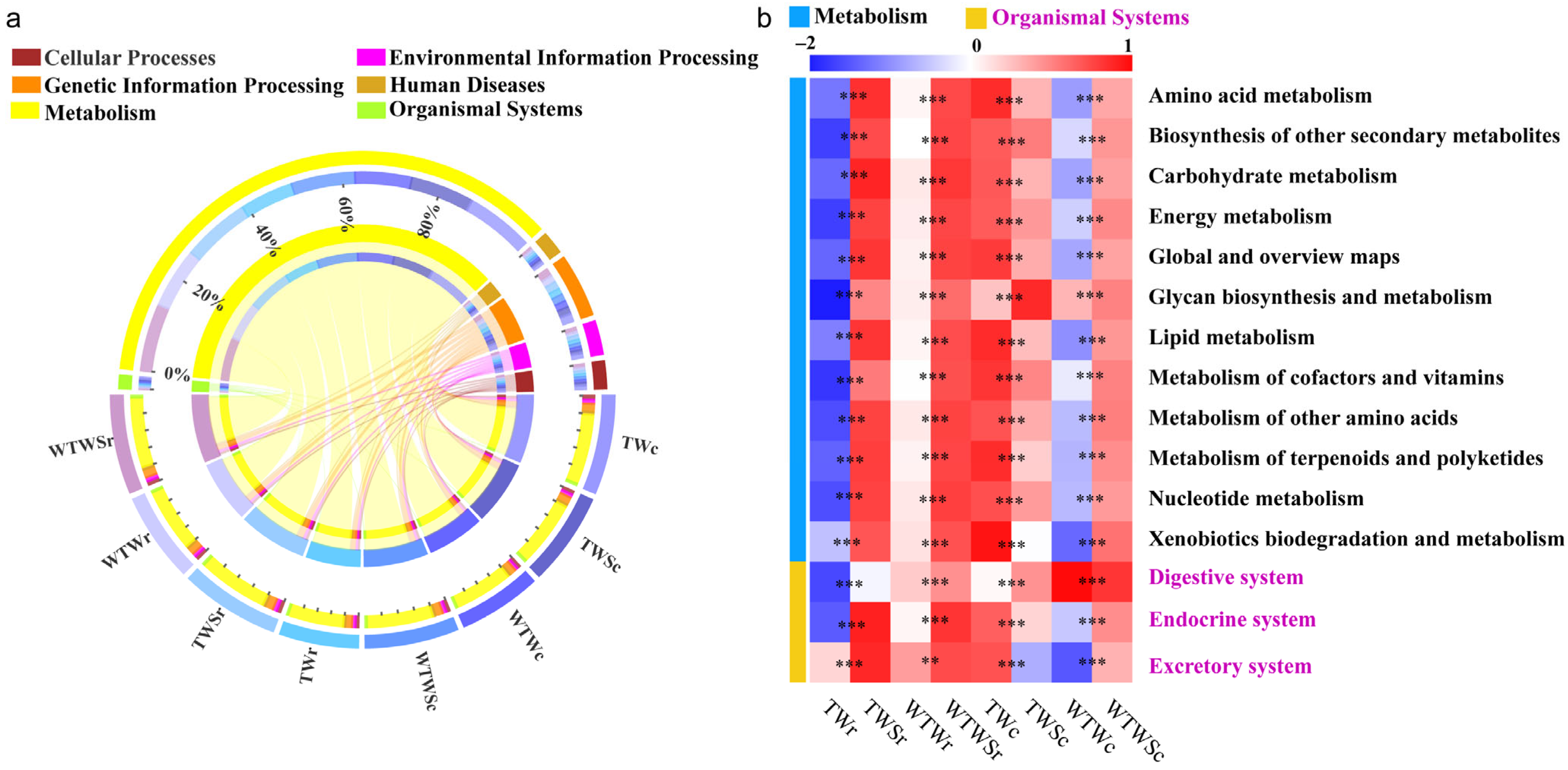 Genes 14 01398 g004 Genes 14 01398 g004