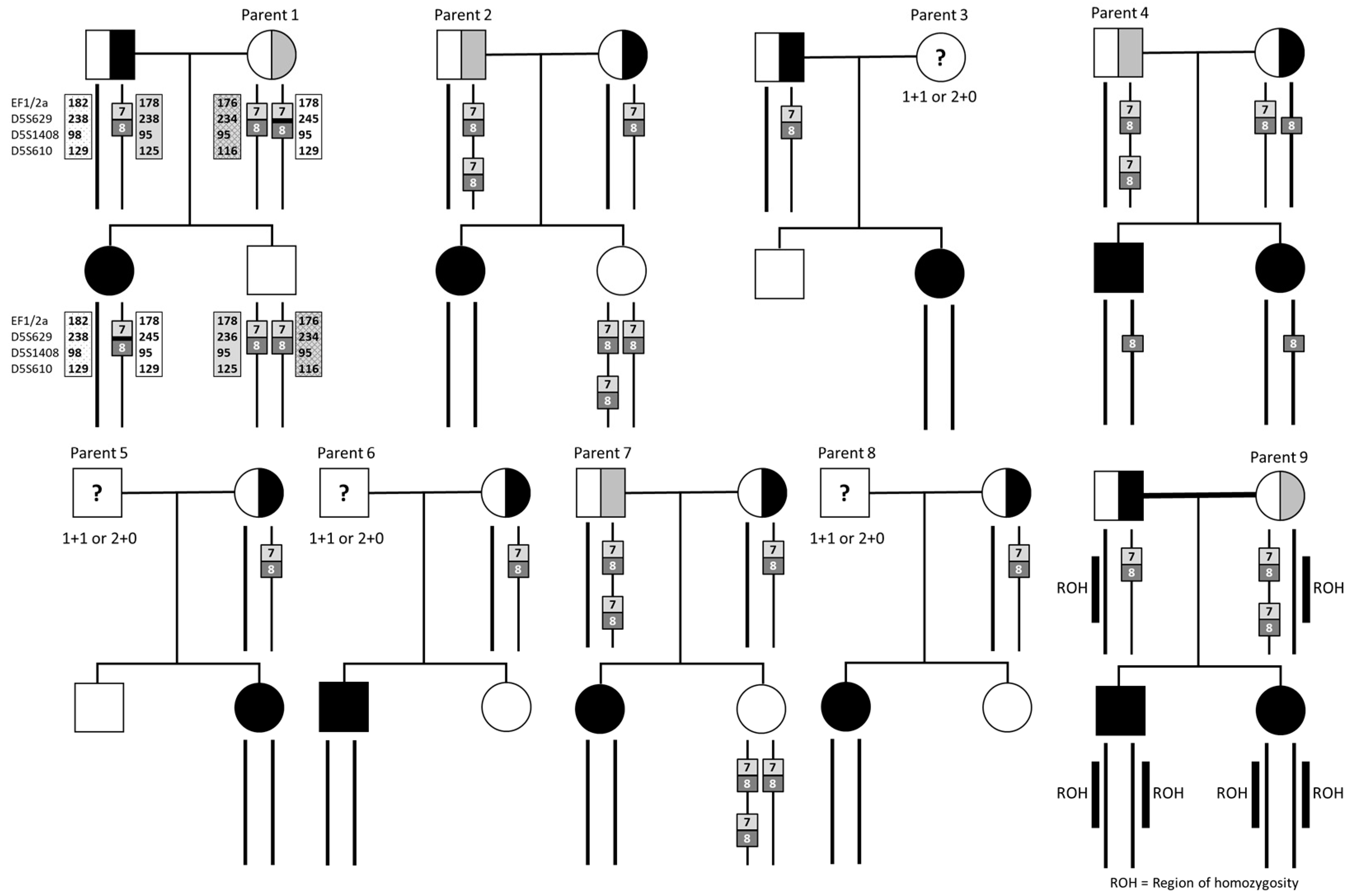 Genes 14 01403 g003 Genes 14 01403 g003