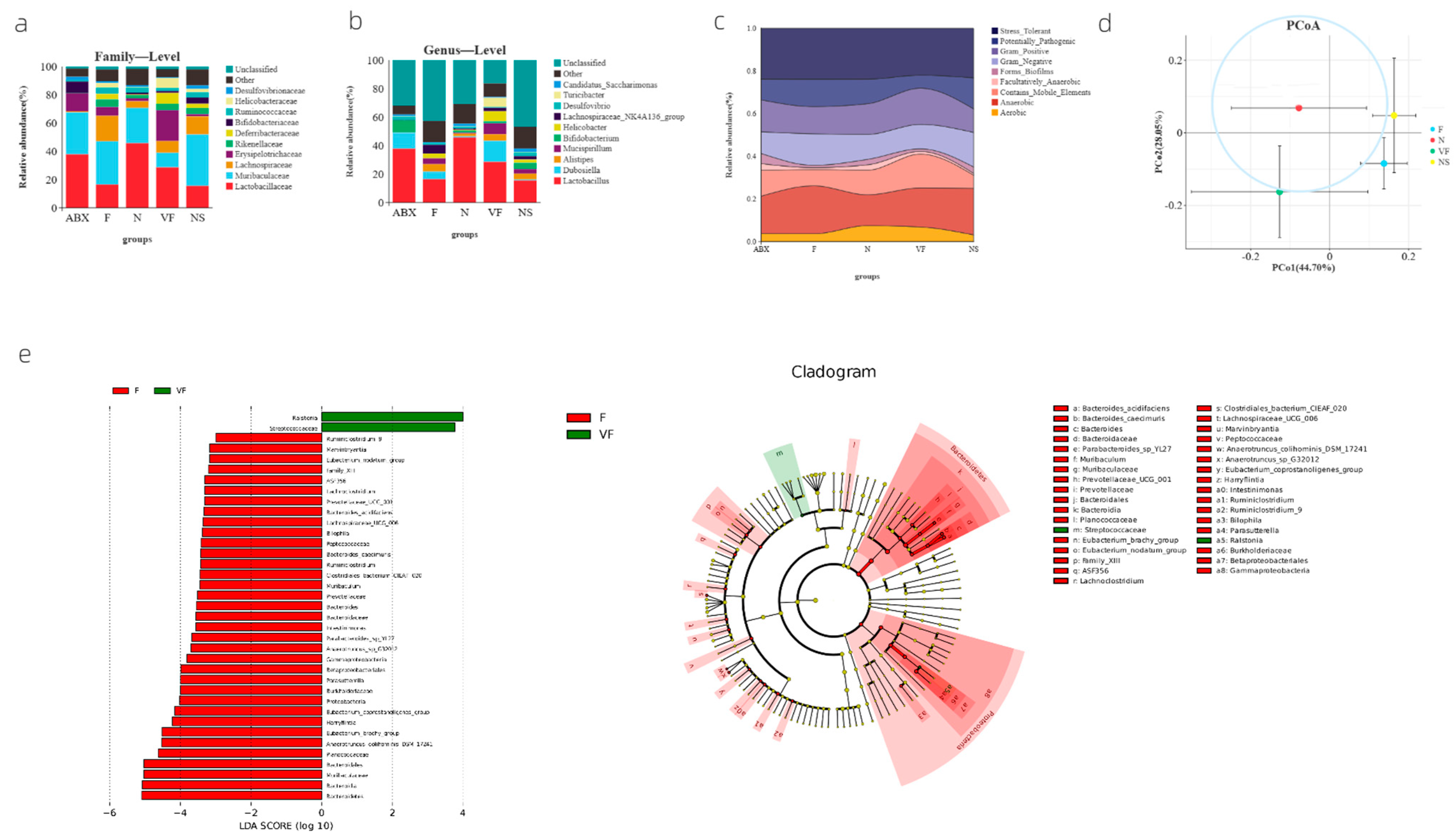 Genes 14 01423 g003 Genes 14 01423 g003