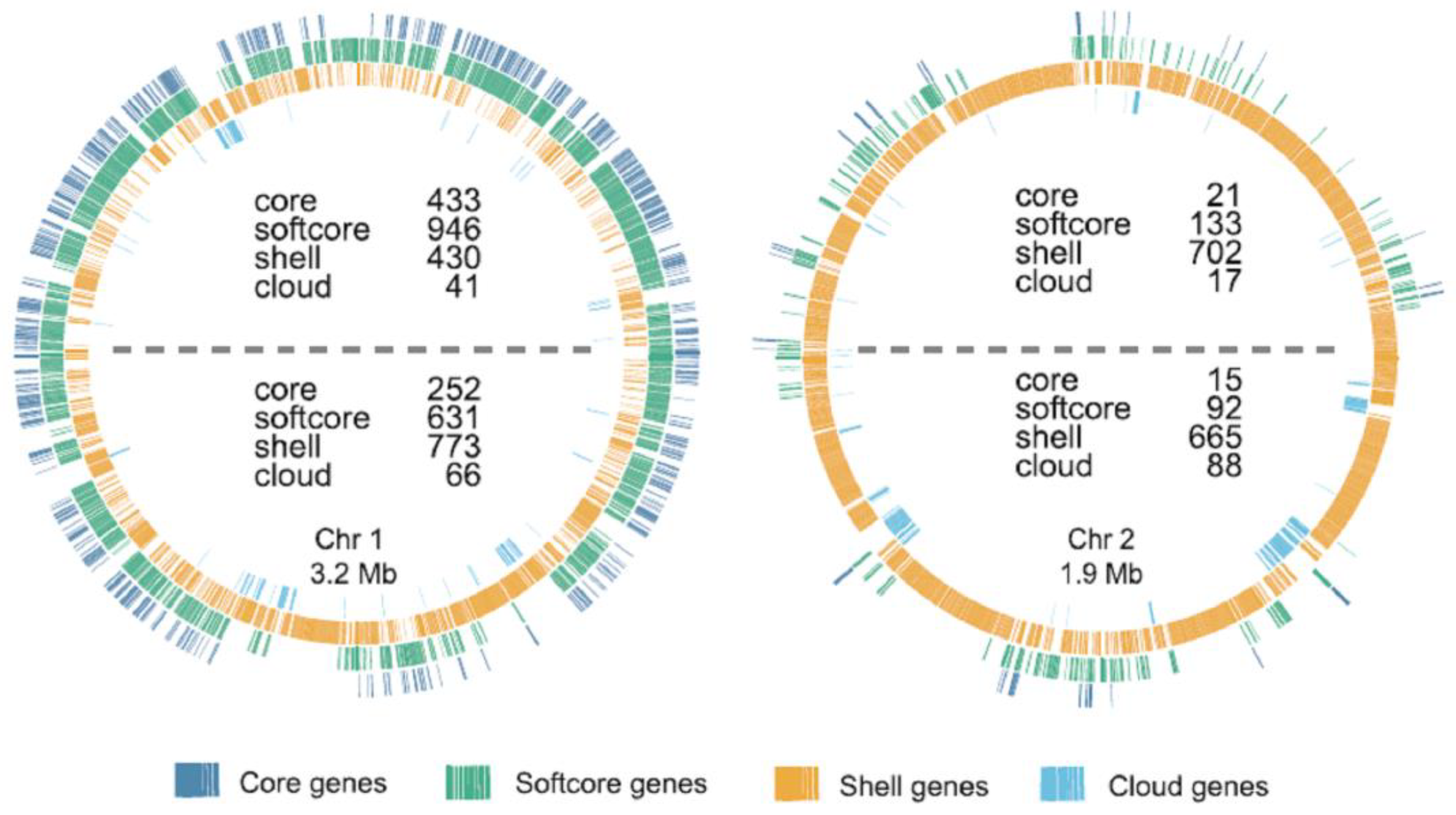 Genes 14 01437 g007