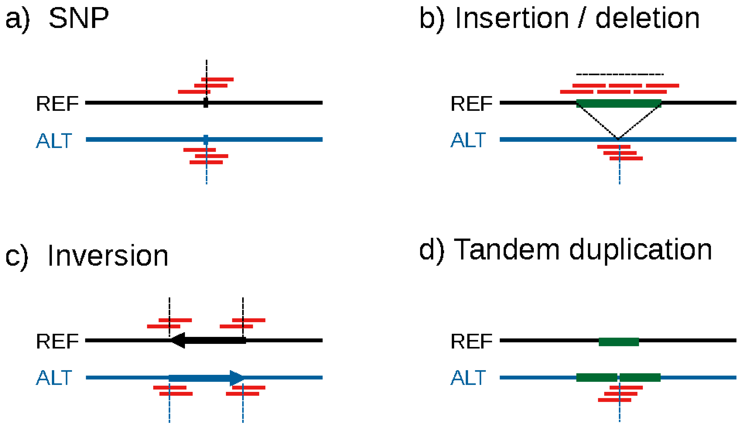 Genes 14 01439 g001