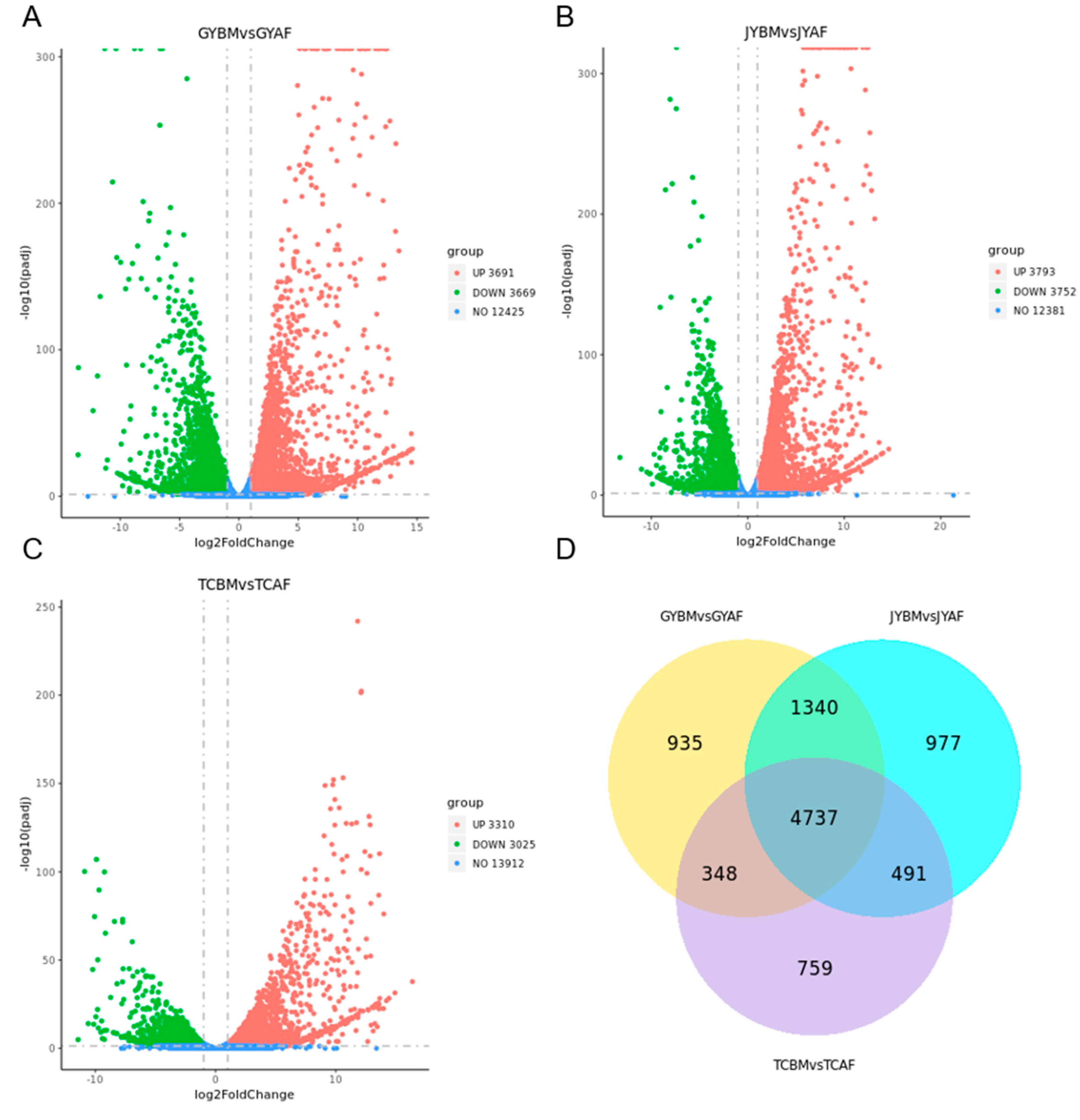 Genes 14 01457 g001 Genes 14 01457 g001