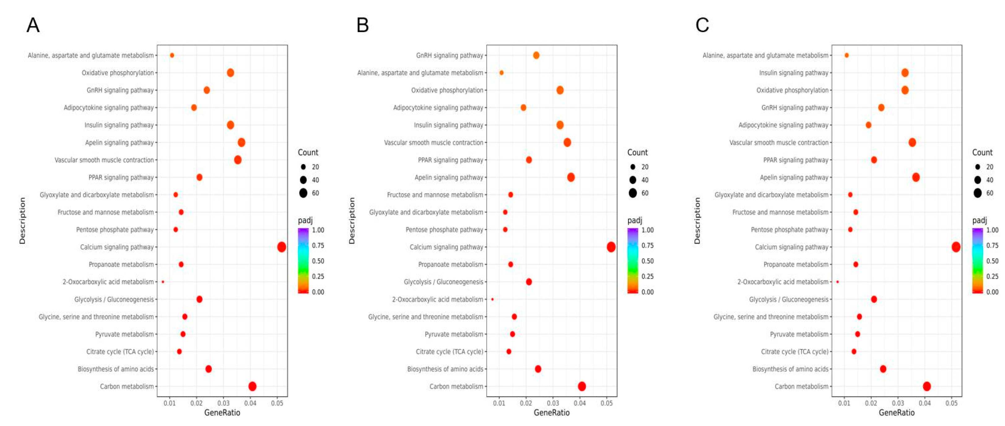 Genes 14 01457 g002a Genes 14 01457 g002a