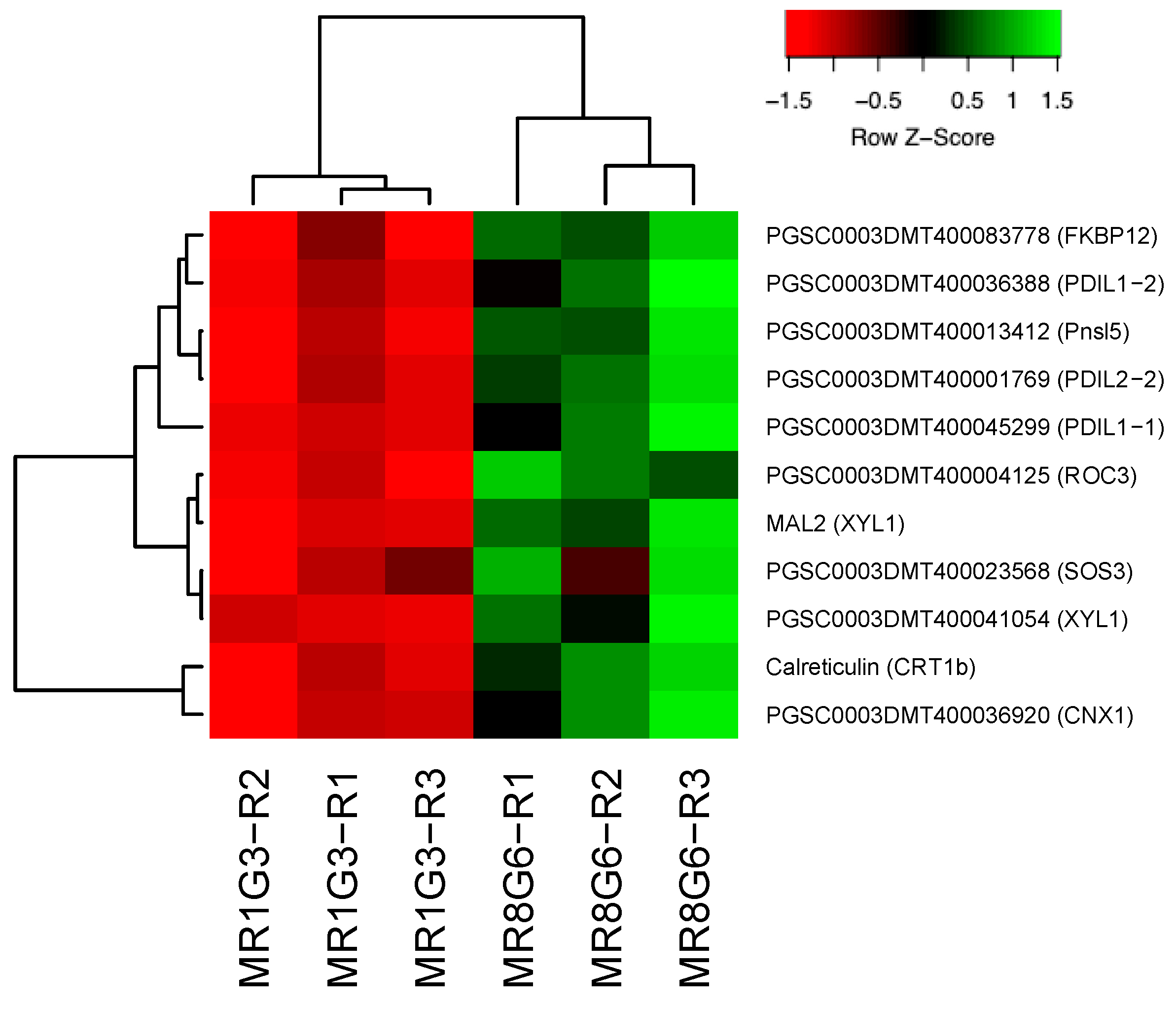 Genes 14 01463 g002 Genes 14 01463 g002