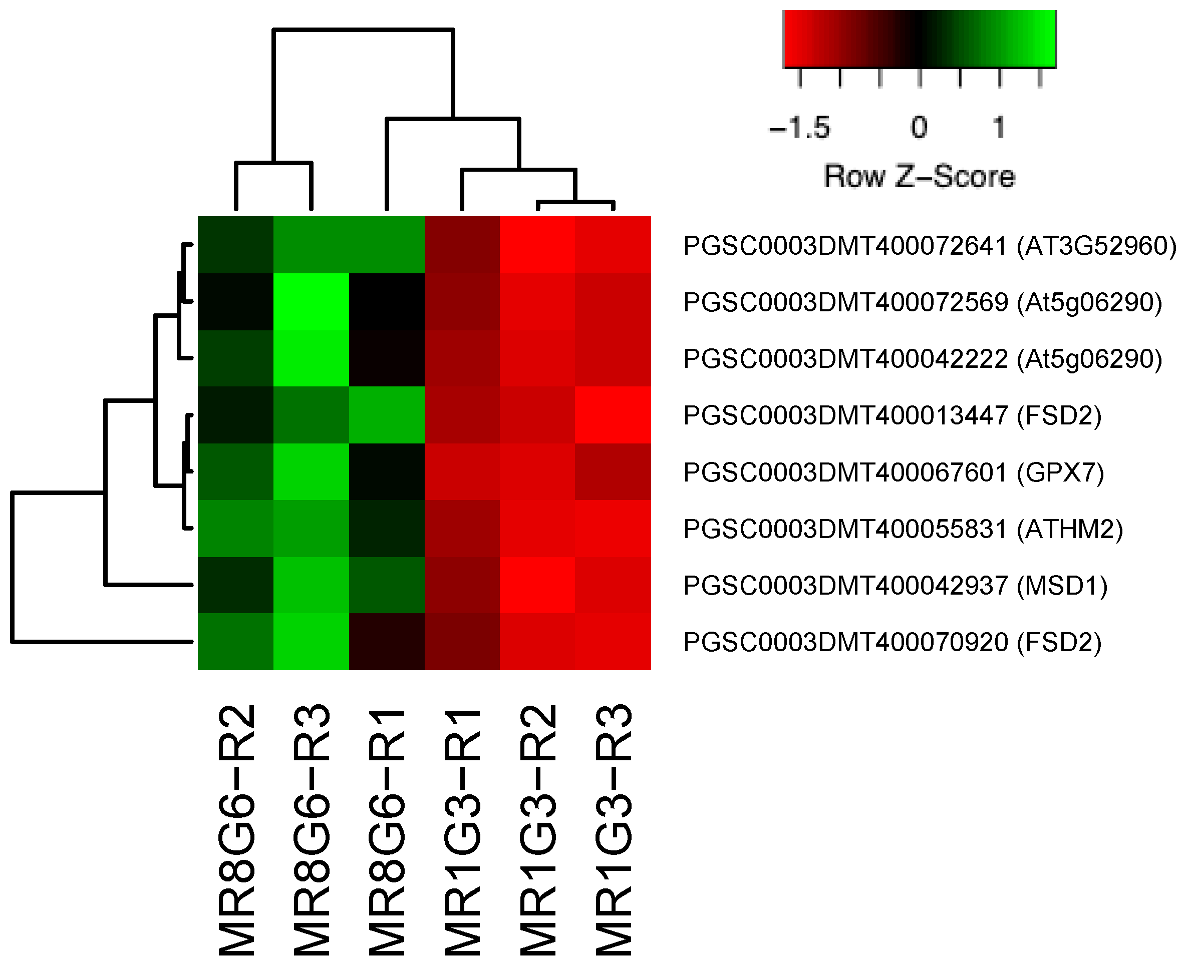 Genes 14 01463 g003 Genes 14 01463 g003