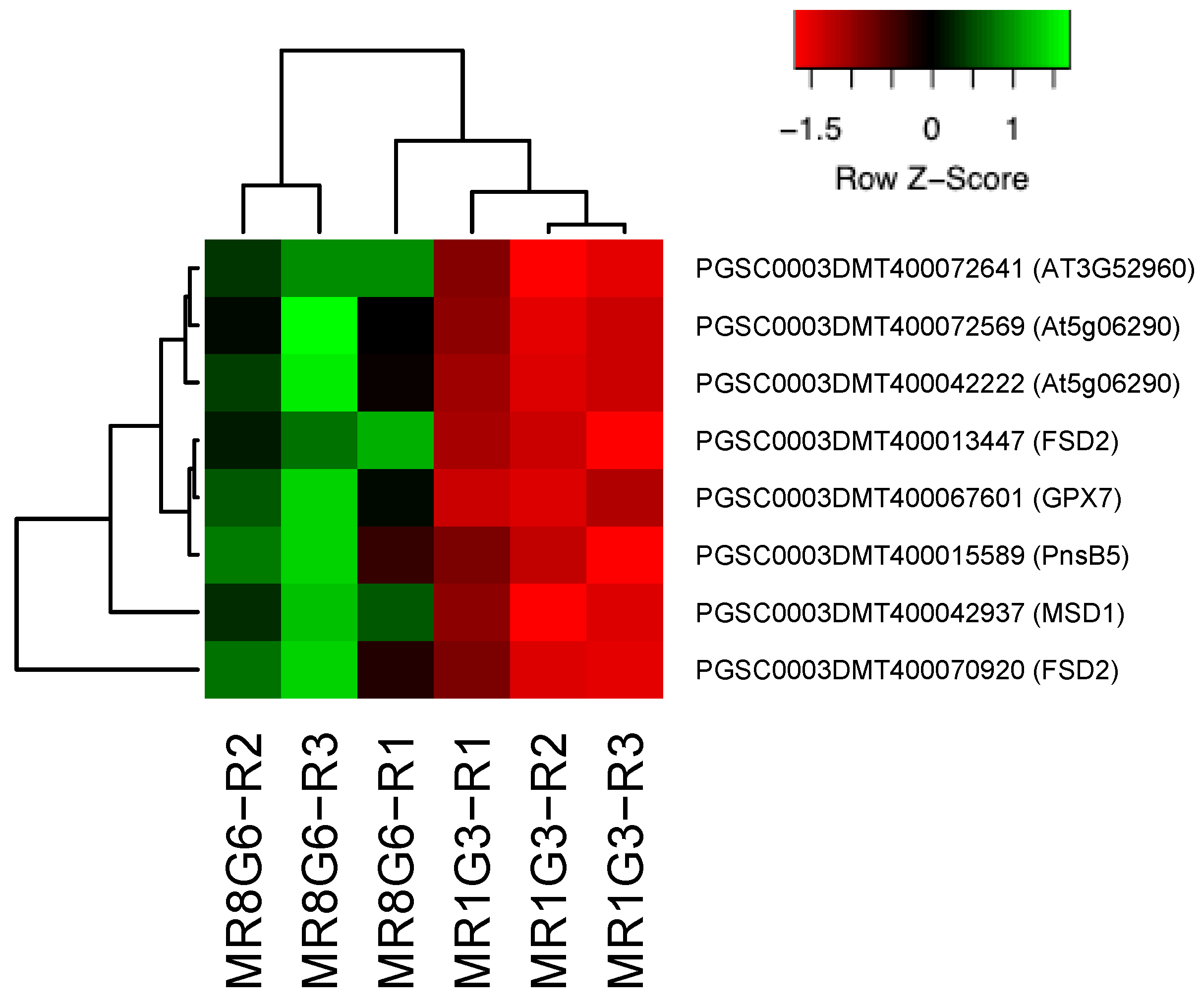 Genes 14 01463 g004 Genes 14 01463 g004