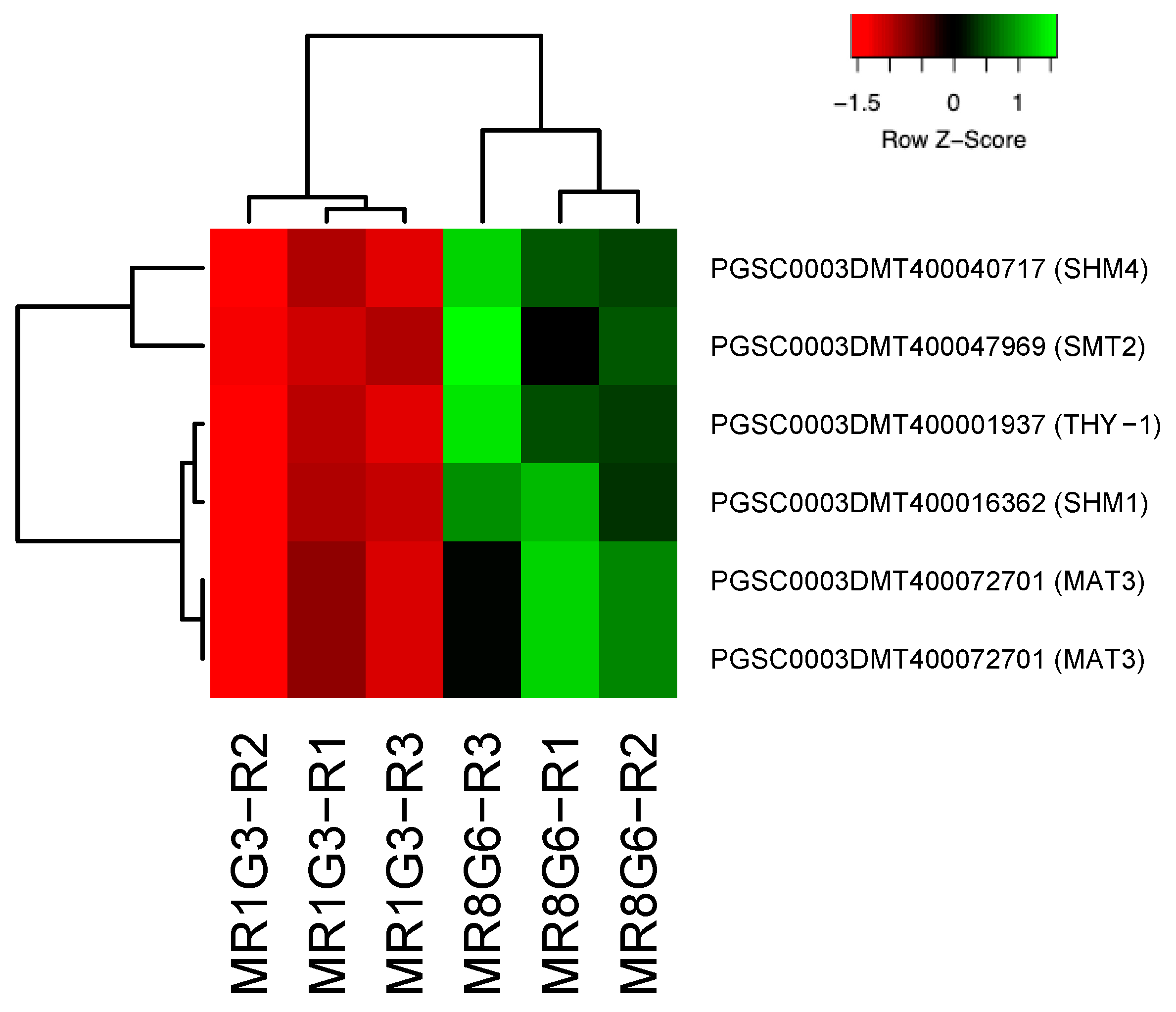 Genes 14 01463 g006 Genes 14 01463 g006