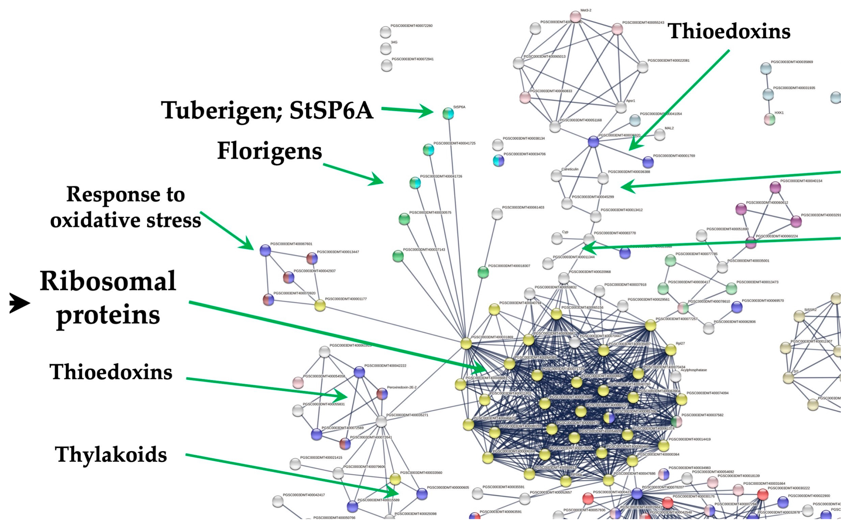 Genes 14 01463 g008 Genes 14 01463 g008