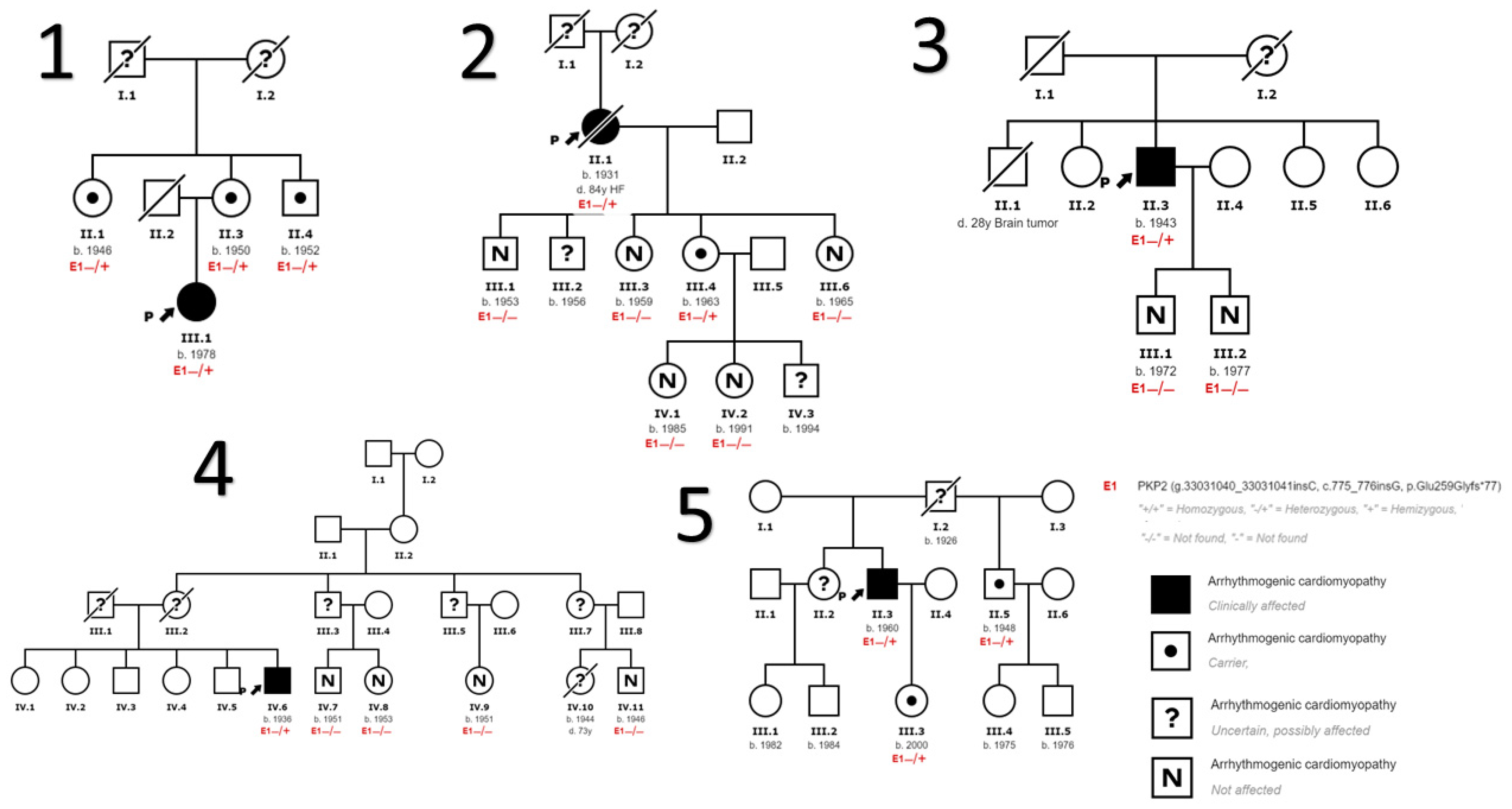 Genes 14 01468 g001 Genes 14 01468 g001