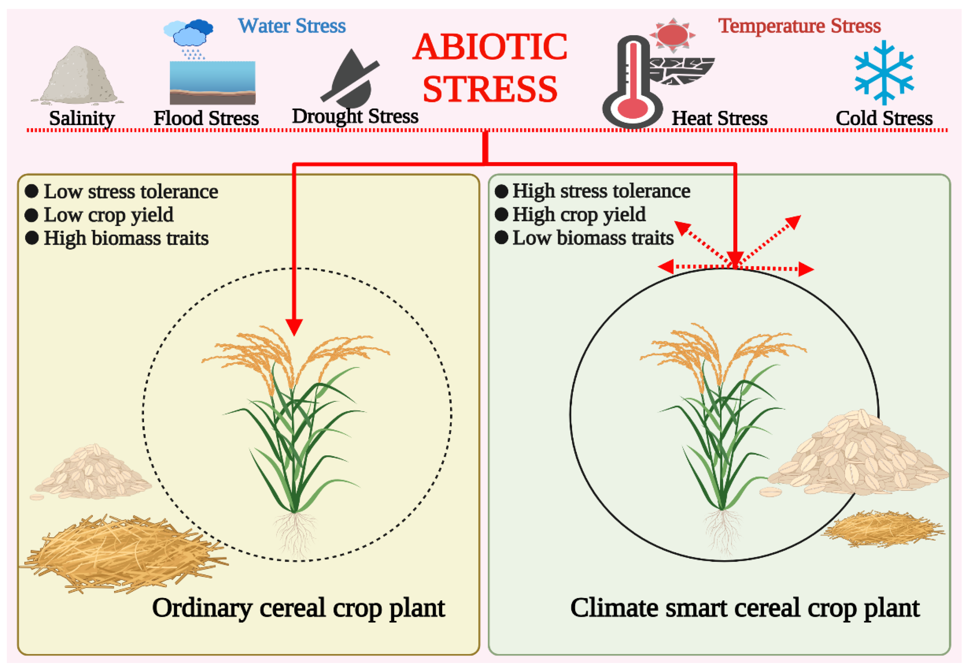 Genes 14 01484 g002 Genes 14 01484 g002