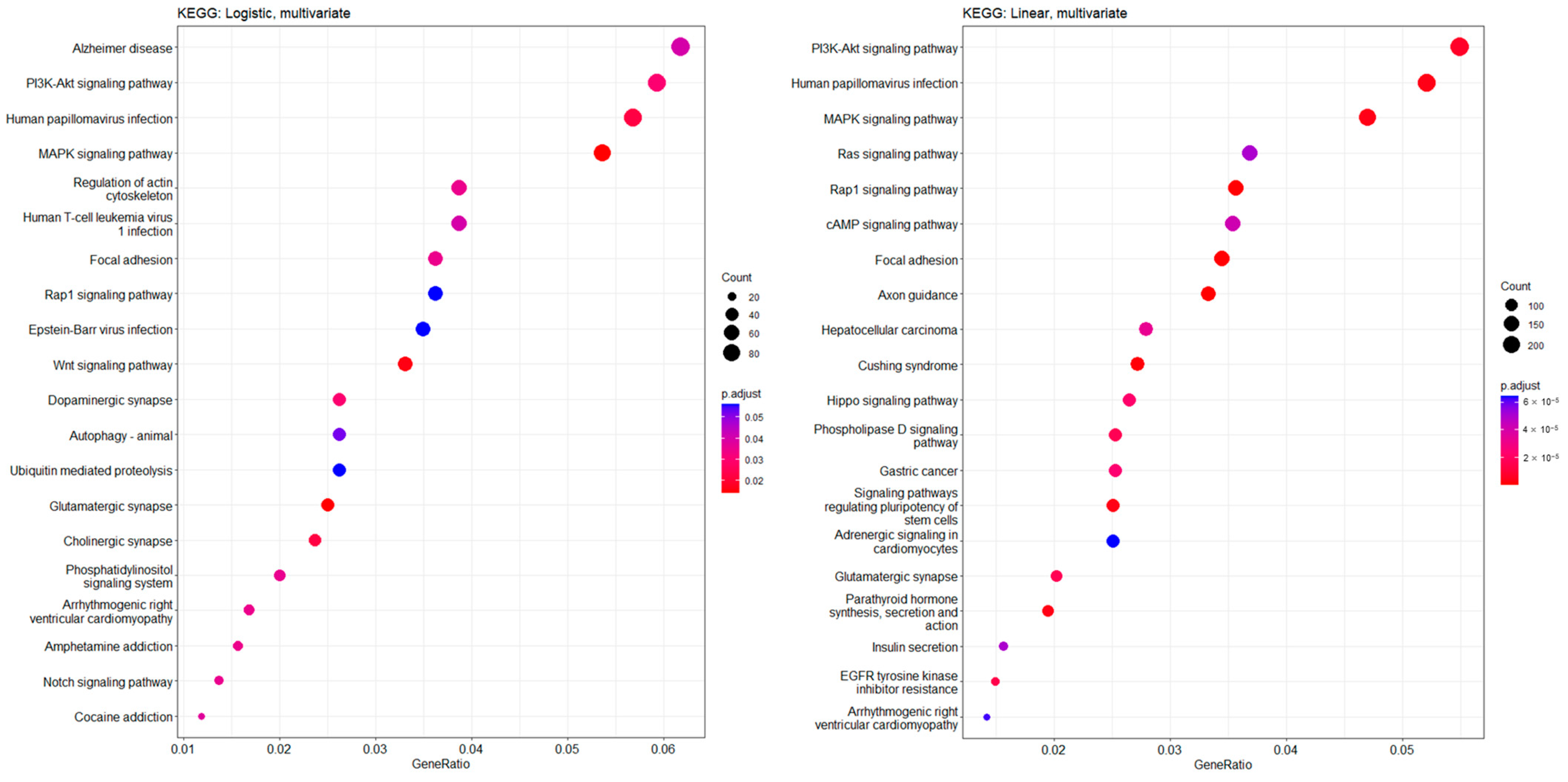 Genes 14 01489 g003 Genes 14 01489 g003