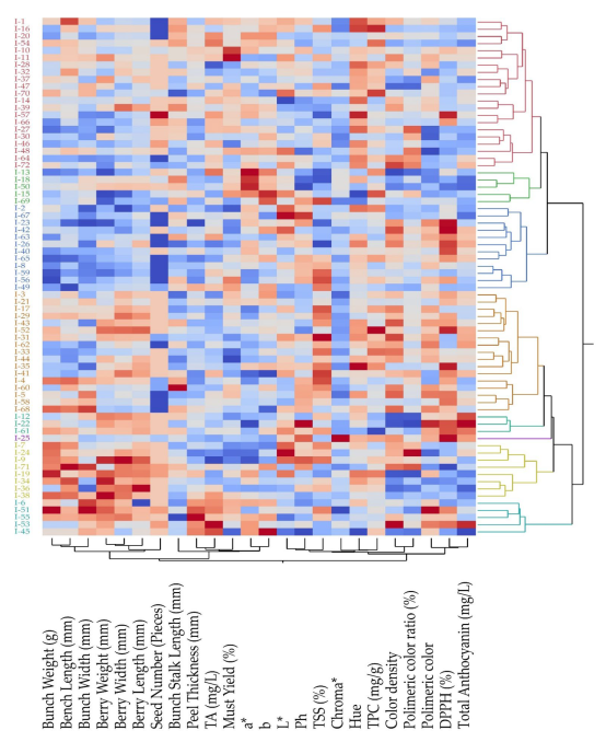 Genes 14 01491 g003 Genes 14 01491 g003