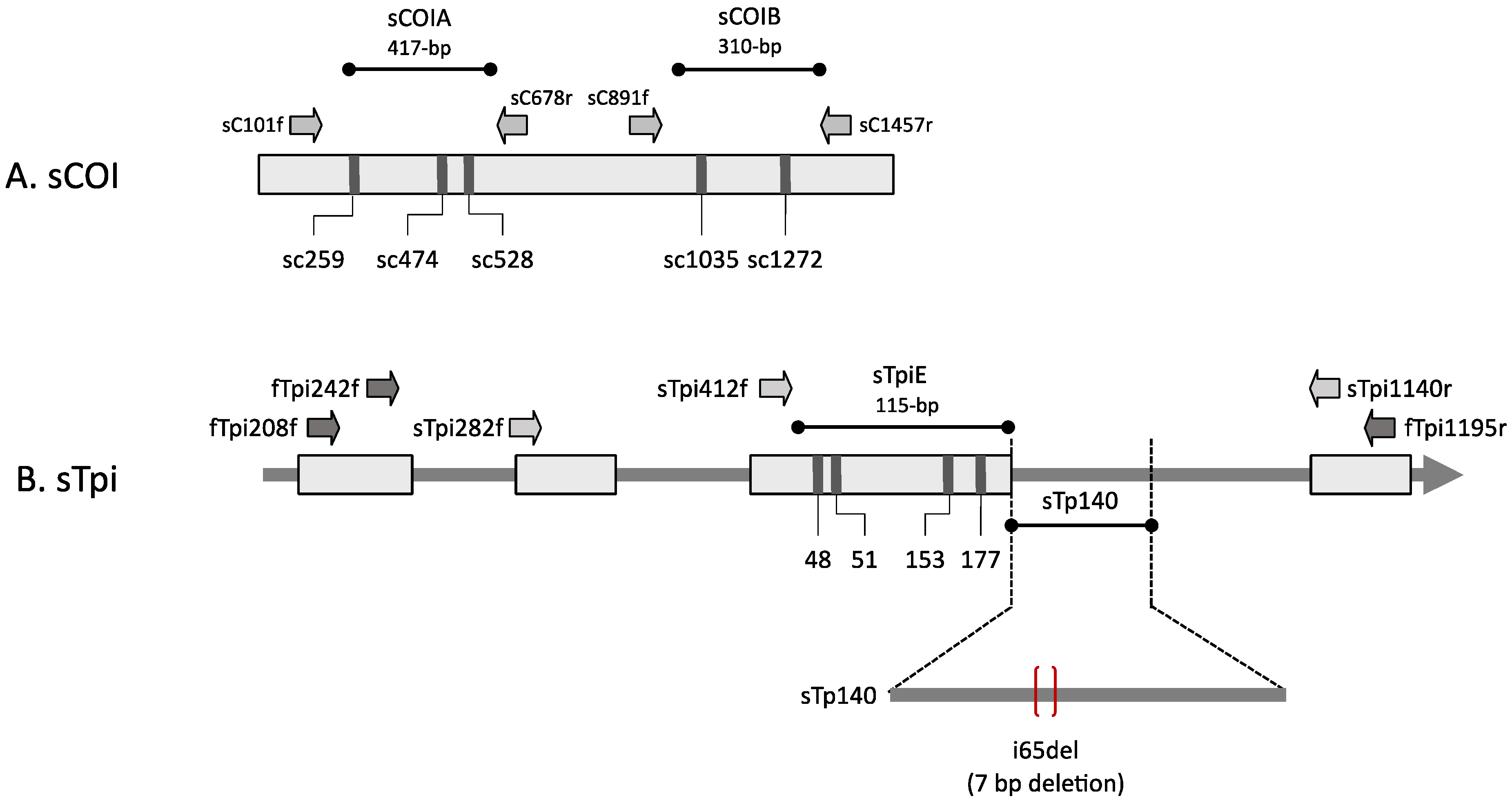 Genes 14 01495 g001 Genes 14 01495 g001