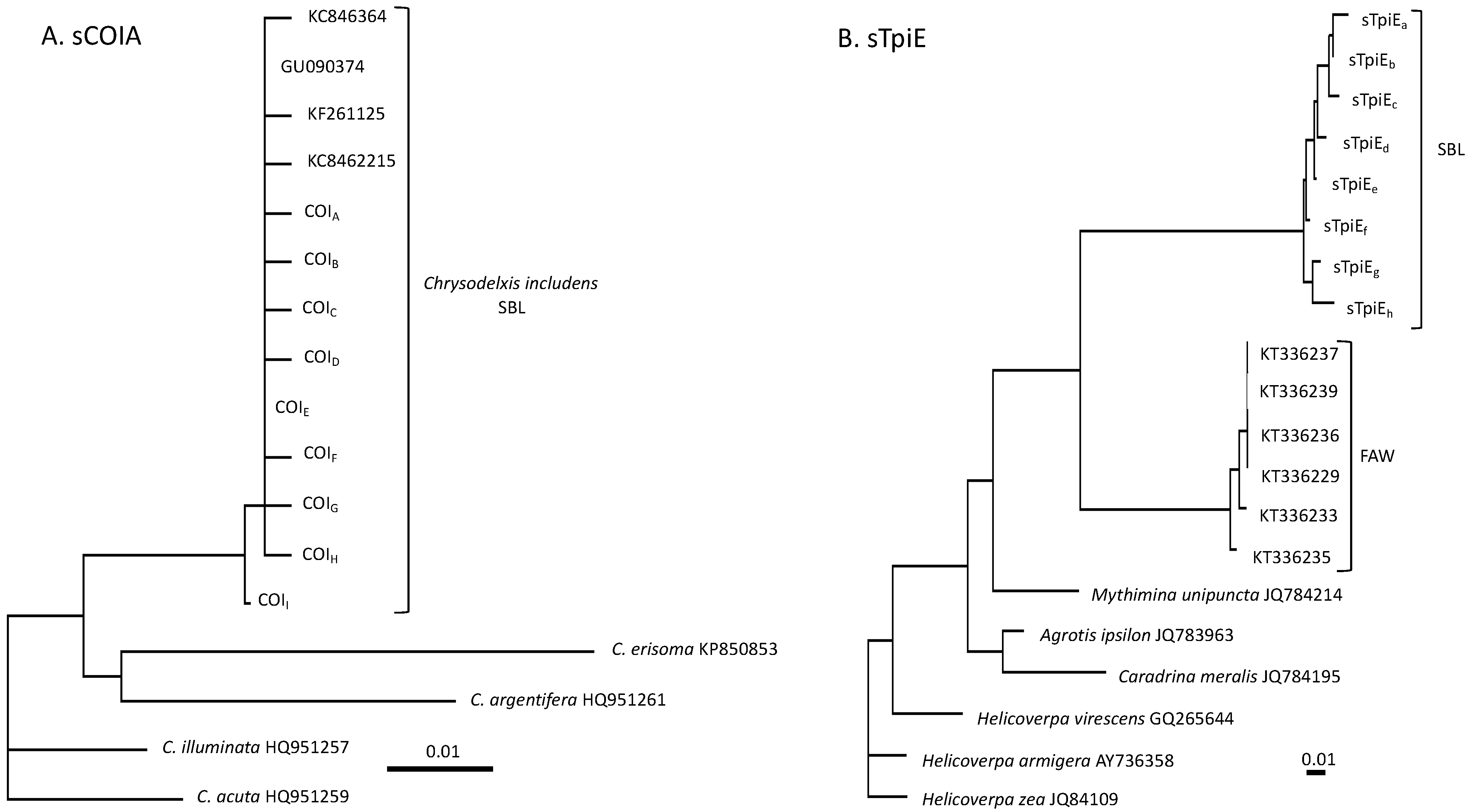 Genes 14 01495 g002 Genes 14 01495 g002