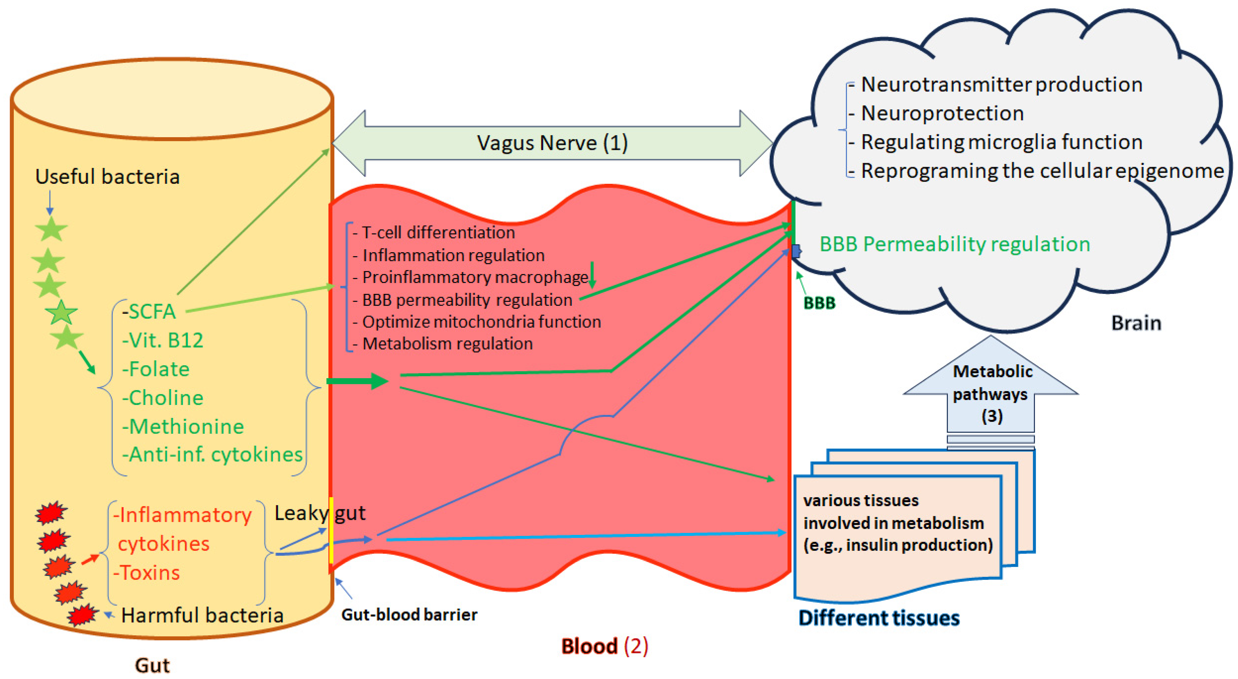 Genes 14 01506 g002 Genes 14 01506 g002