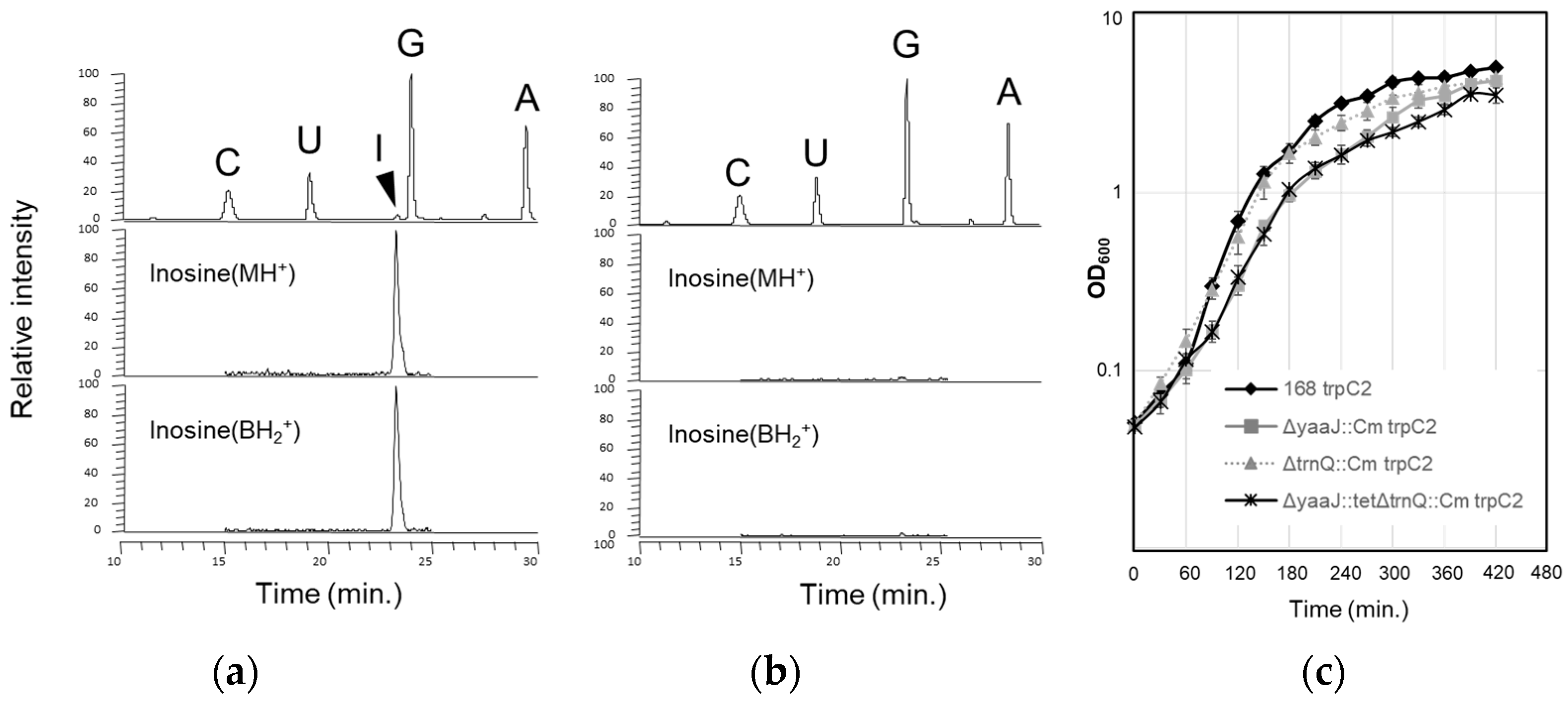 Genes 14 01515 g003 Genes 14 01515 g003