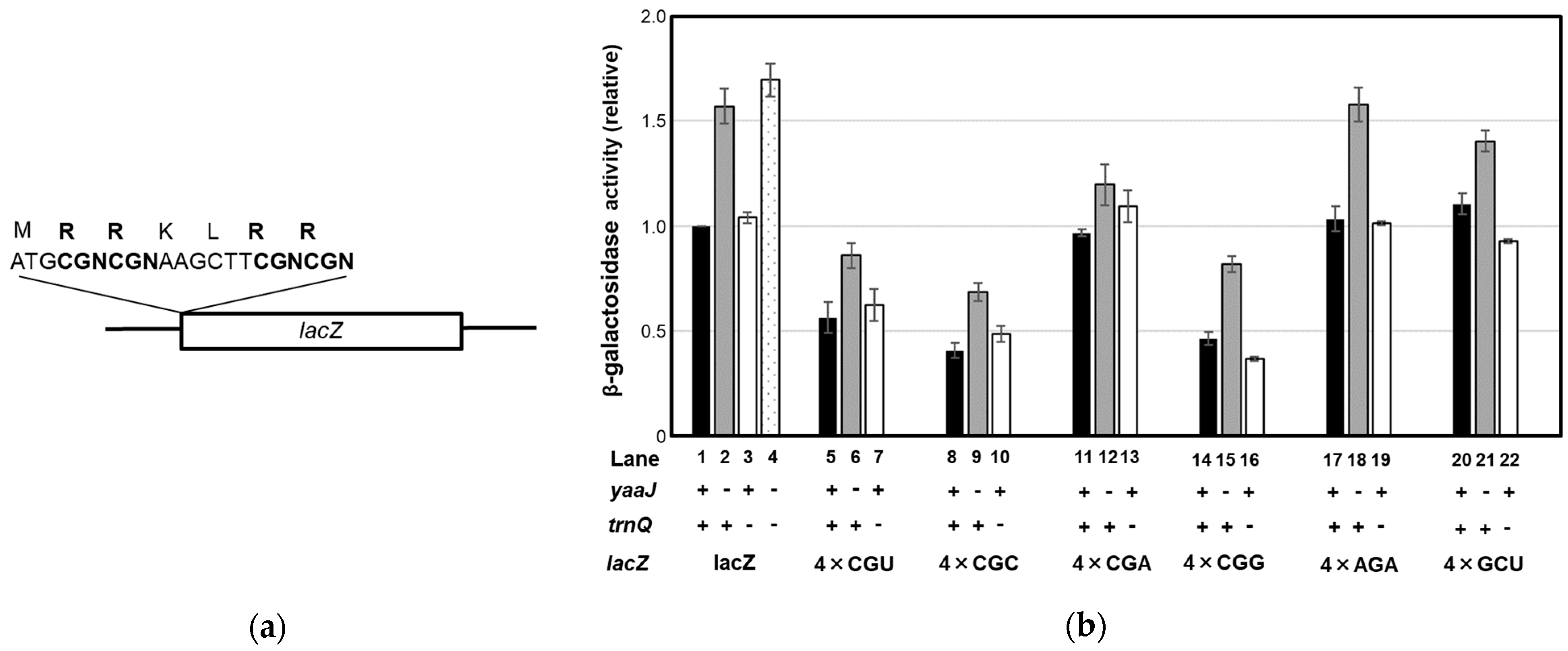 Genes 14 01515 g004 Genes 14 01515 g004