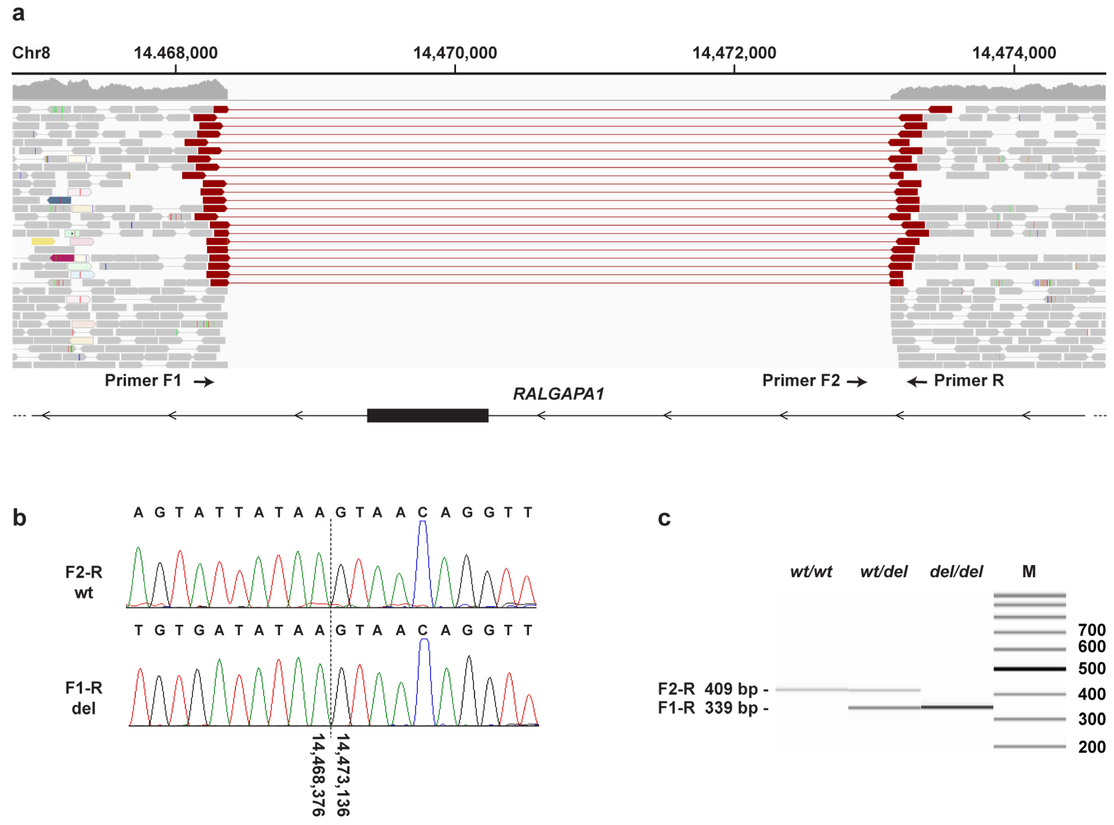 Genes 14 01520 g003 Genes 14 01520 g003
