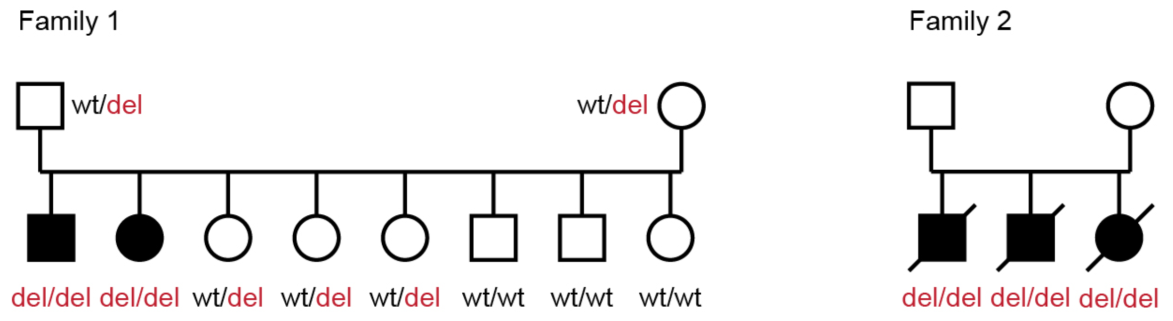 Genes 14 01520 g004 Genes 14 01520 g004