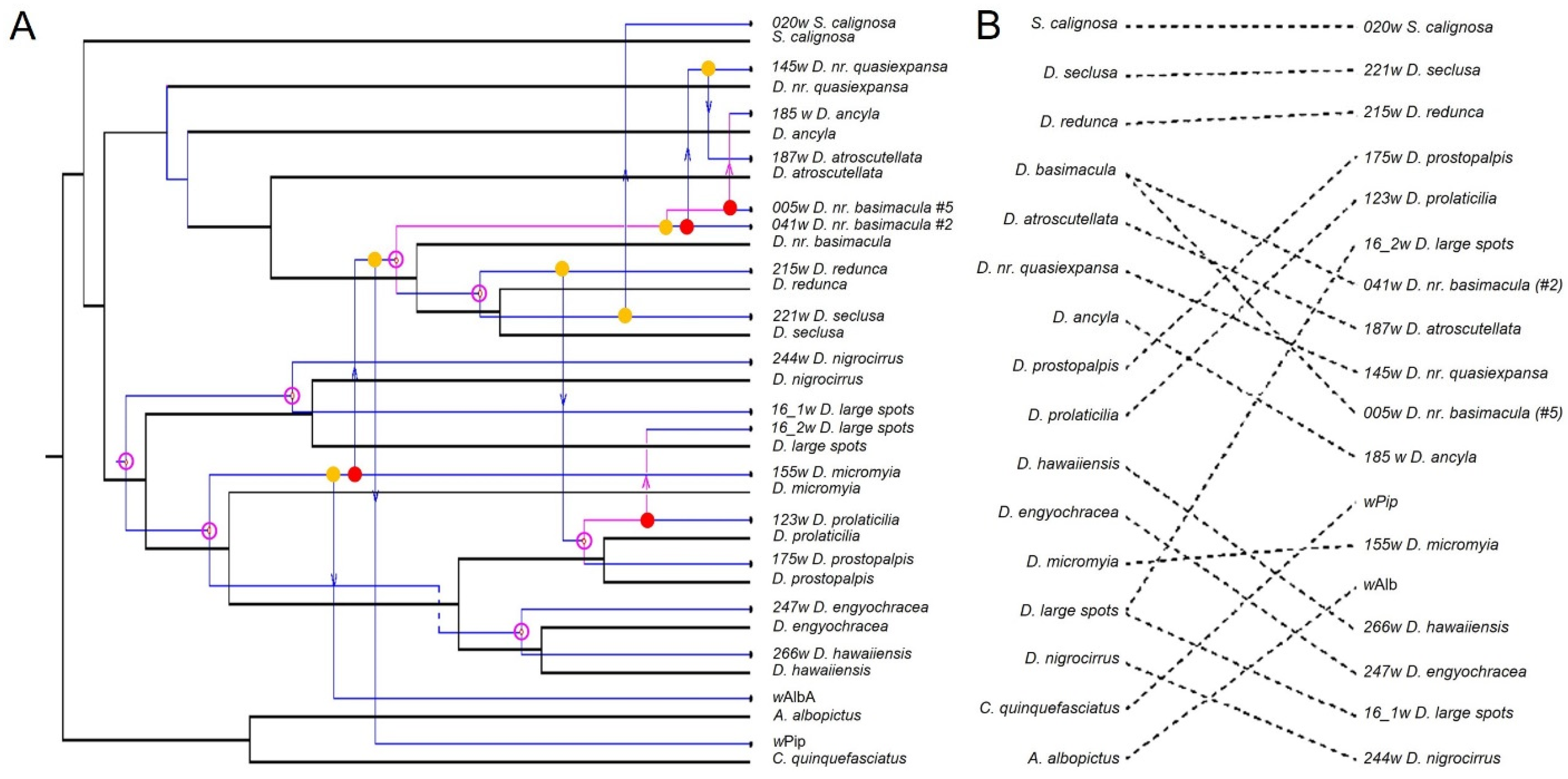 Genes 14 01545 g001 Genes 14 01545 g001