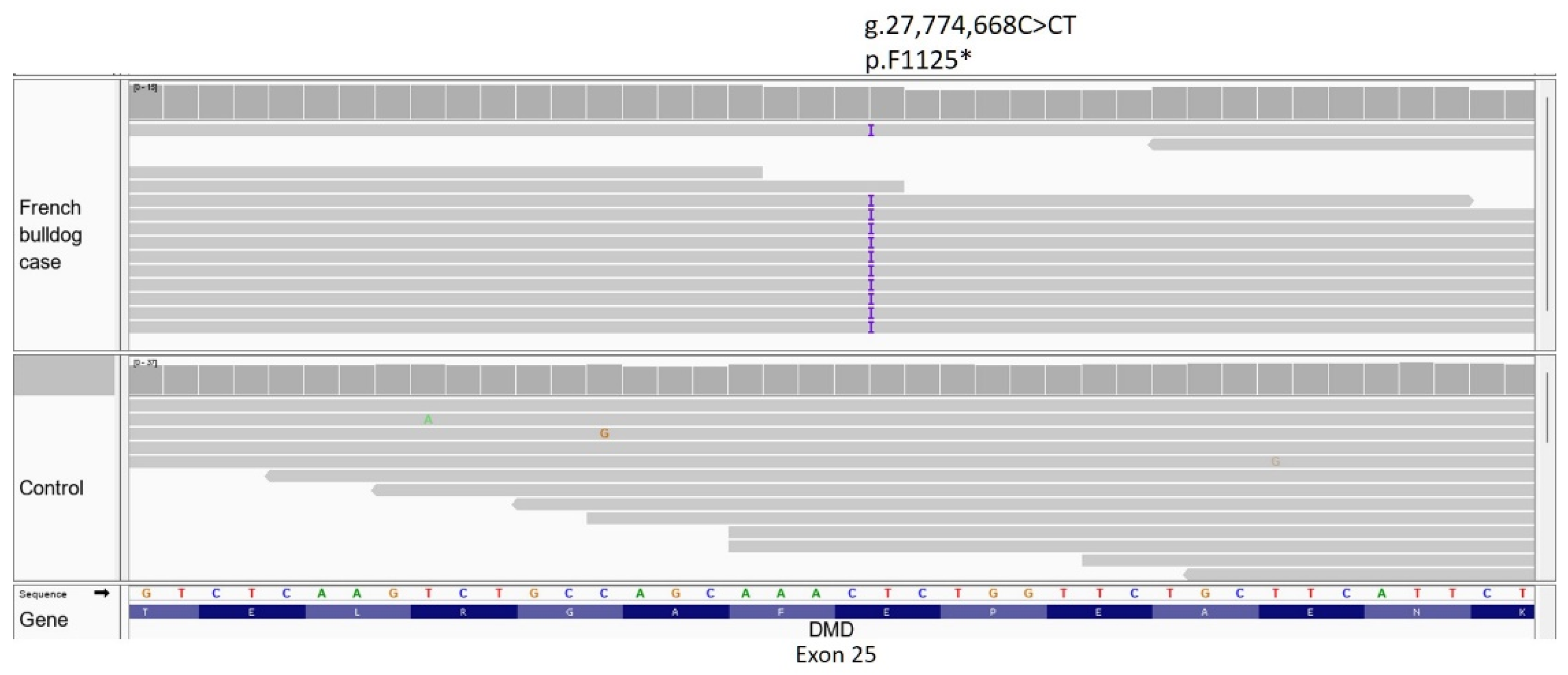Genes 14 01557 g006 Genes 14 01557 g006