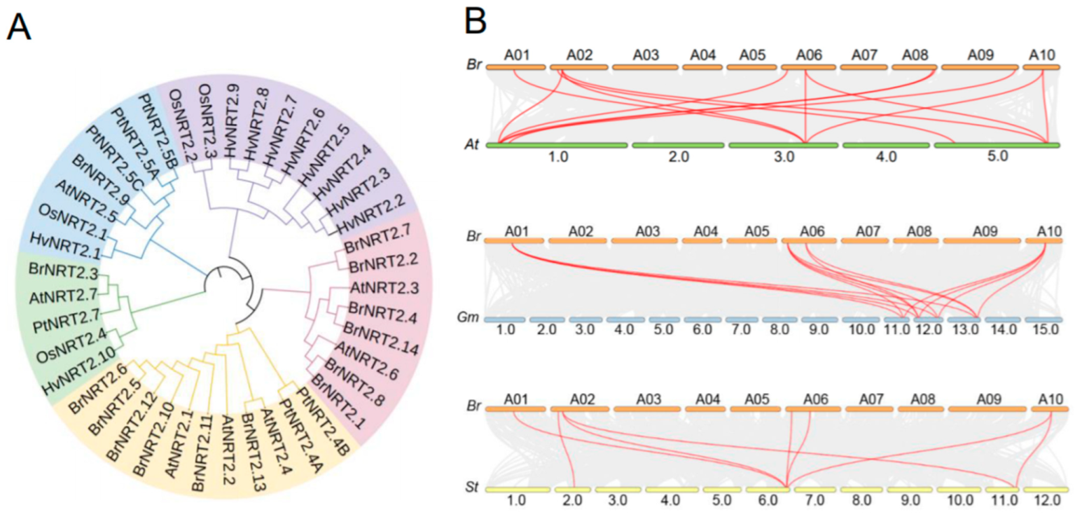 Genes 14 01564 g002 Genes 14 01564 g002