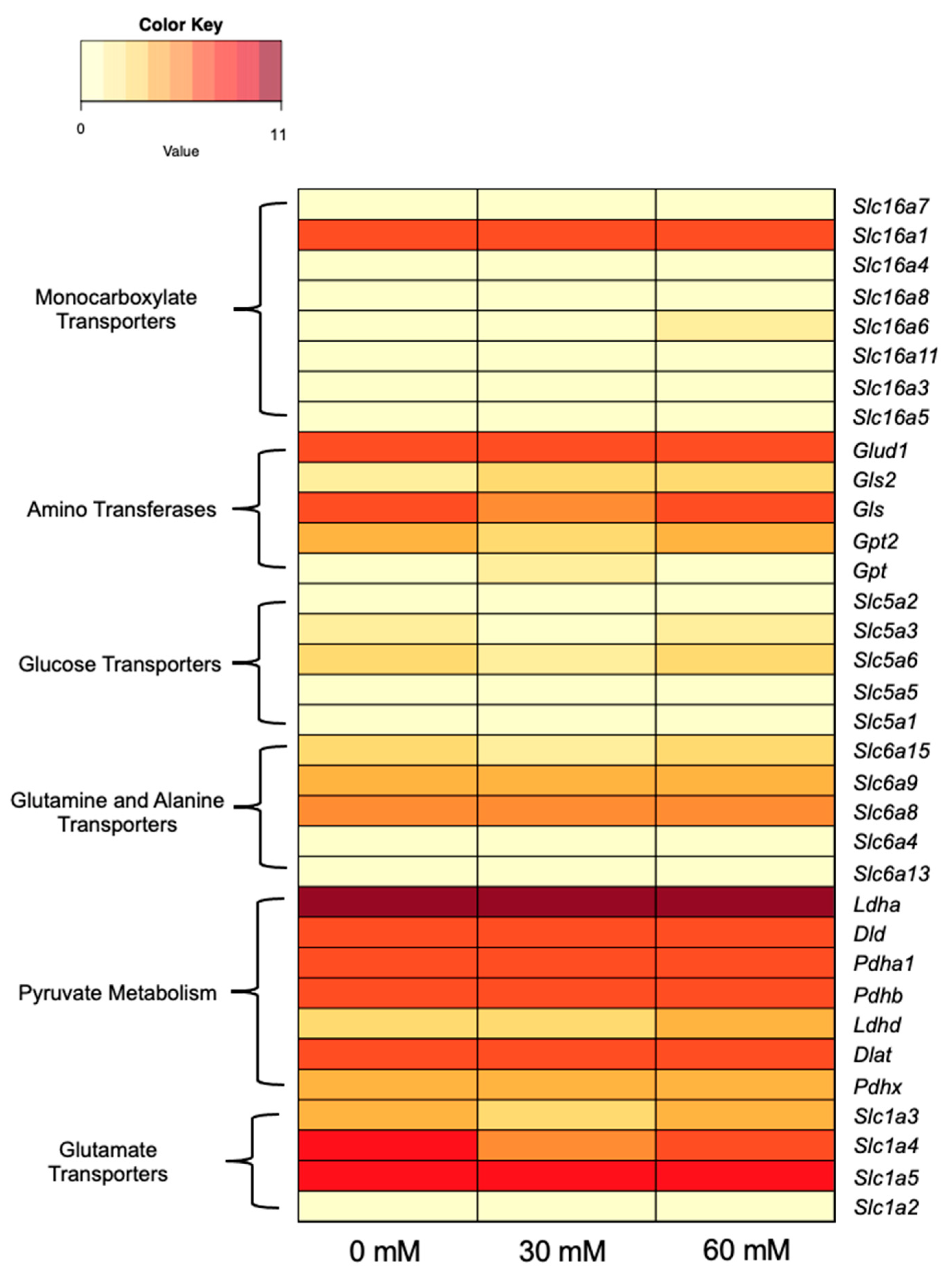 Genes 14 01576 g006