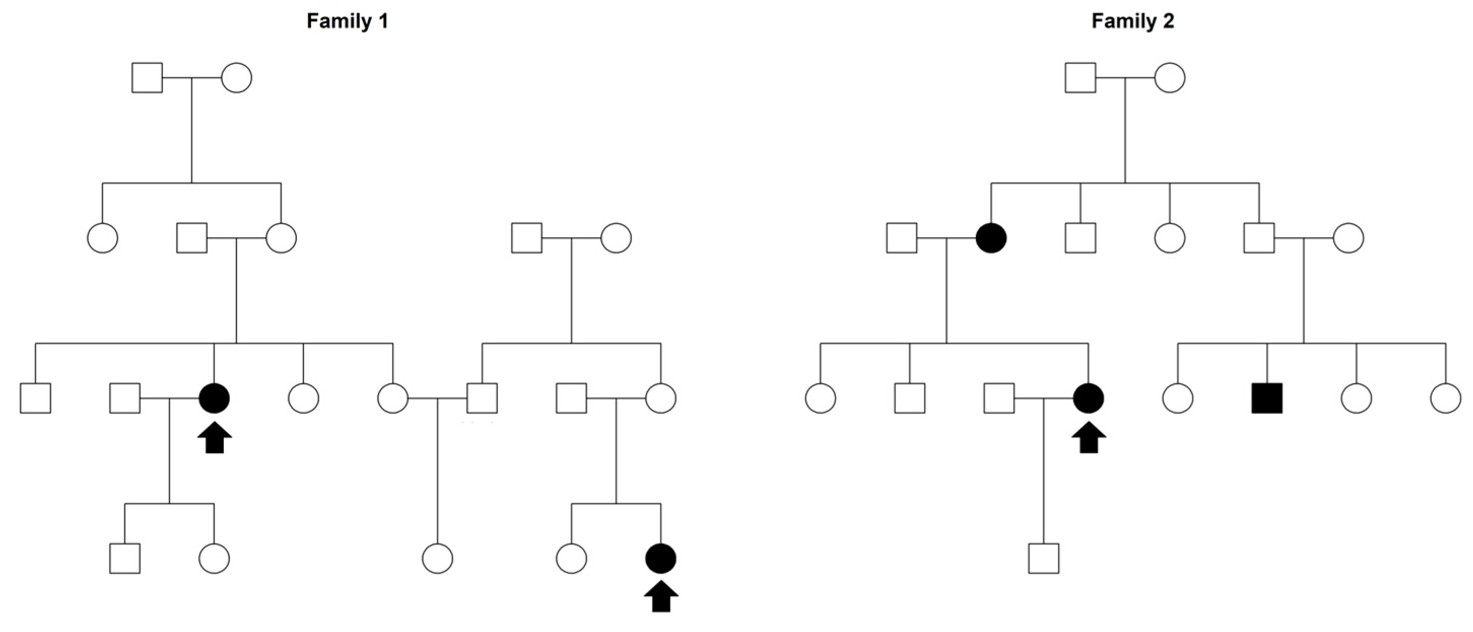 Genes 14 01579 g001 Genes 14 01579 g001