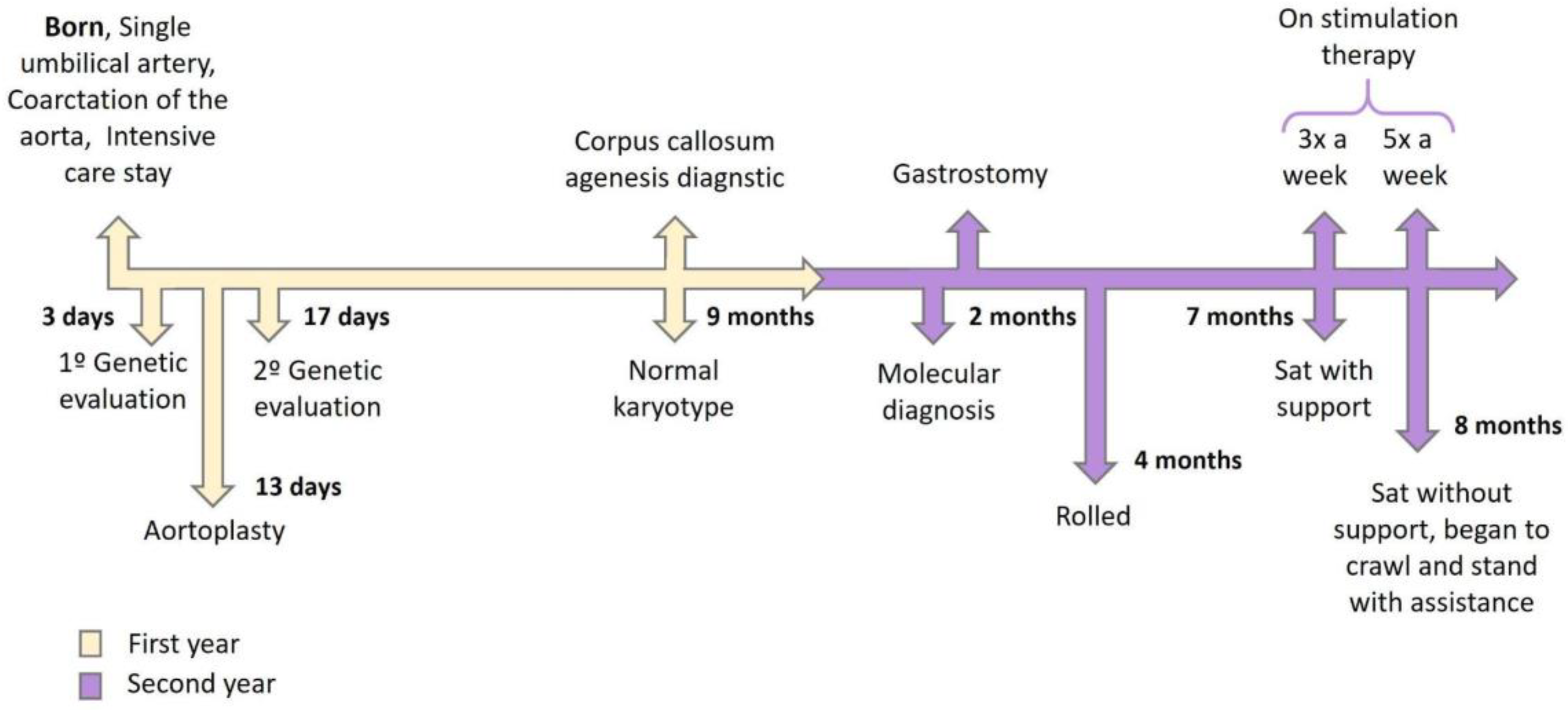 Genes 14 01583 g003 Genes 14 01583 g003