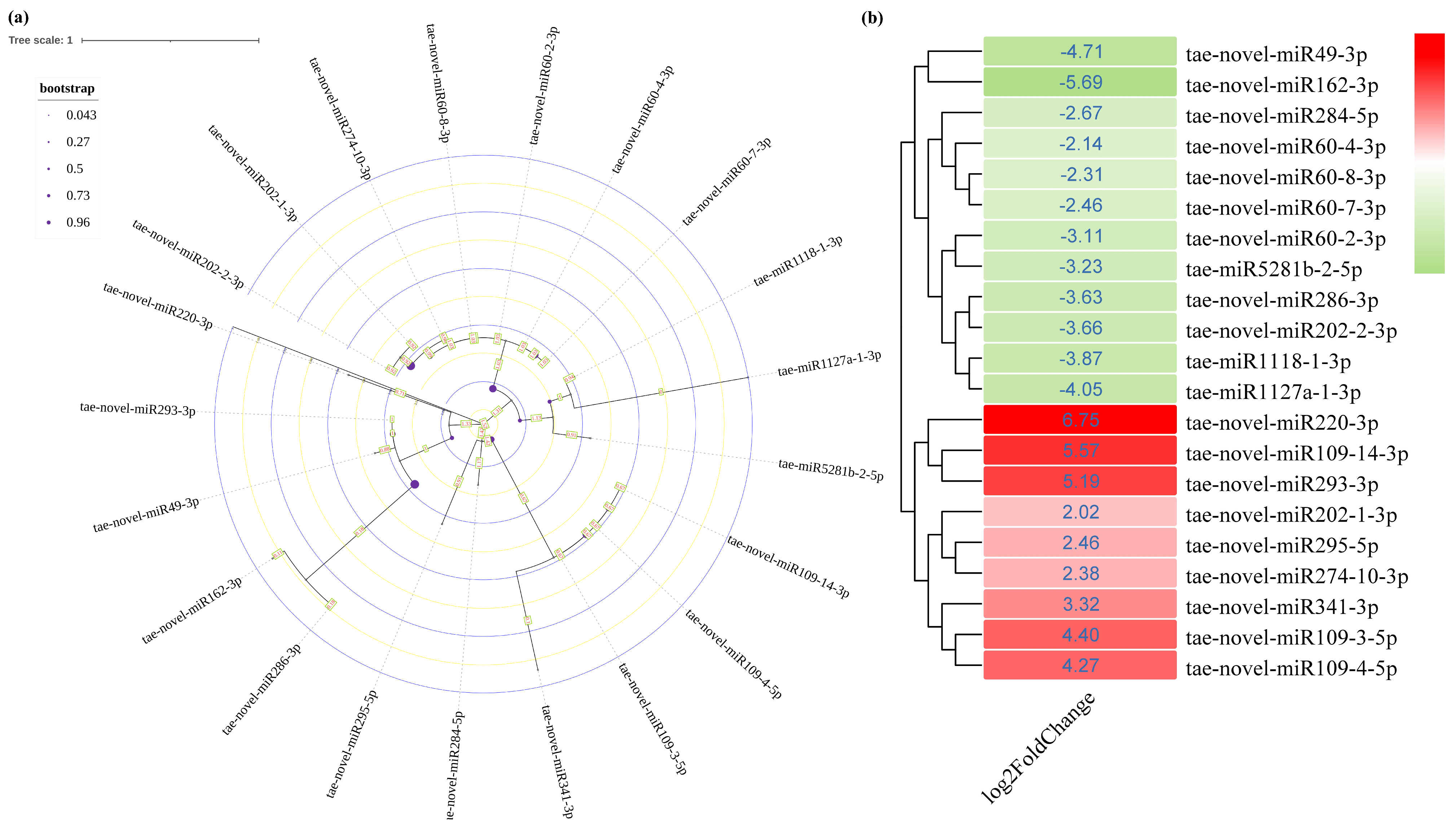 Genes 14 01586 g002 Genes 14 01586 g002