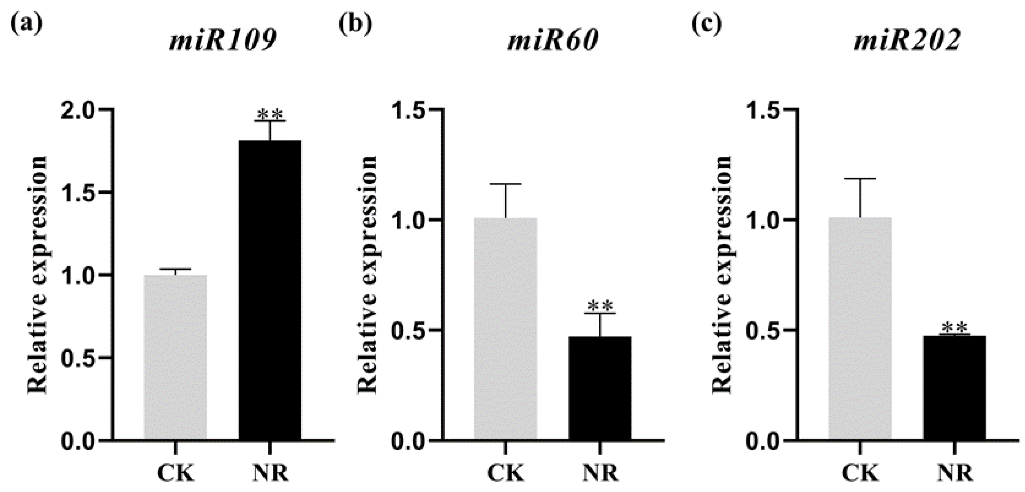 Genes 14 01586 g003 Genes 14 01586 g003