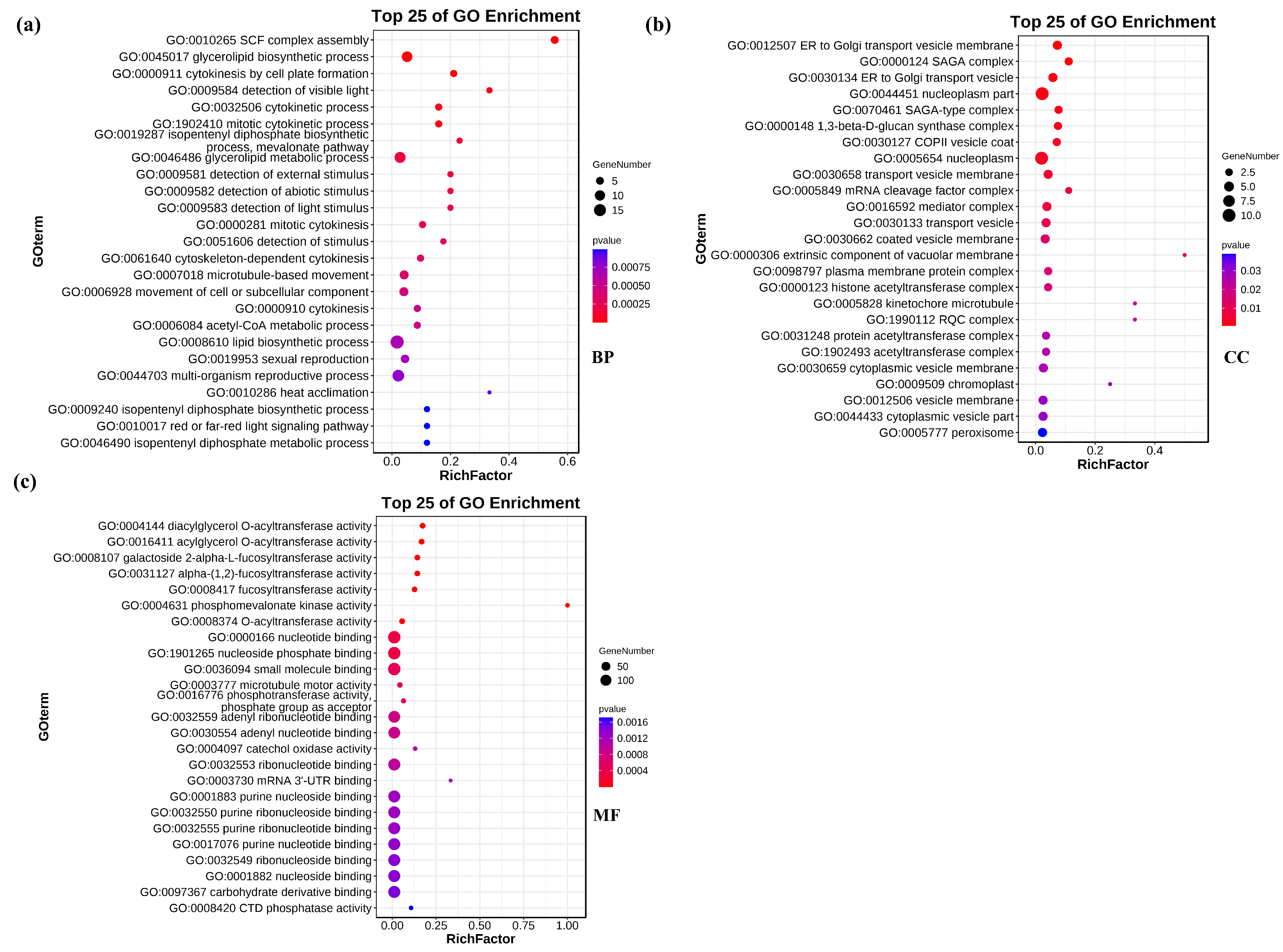 Genes 14 01586 g005 Genes 14 01586 g005