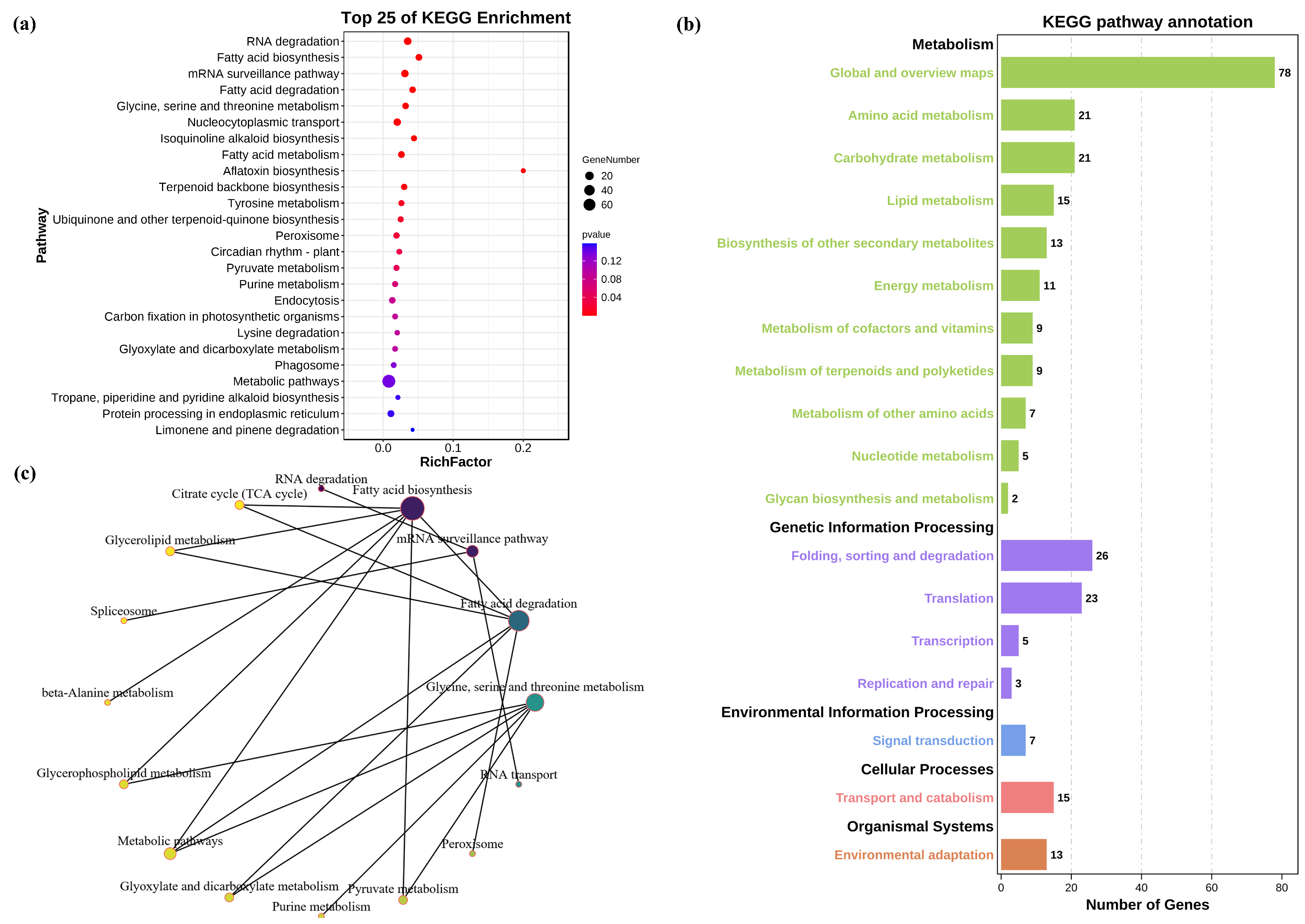 Genes 14 01586 g006 Genes 14 01586 g006
