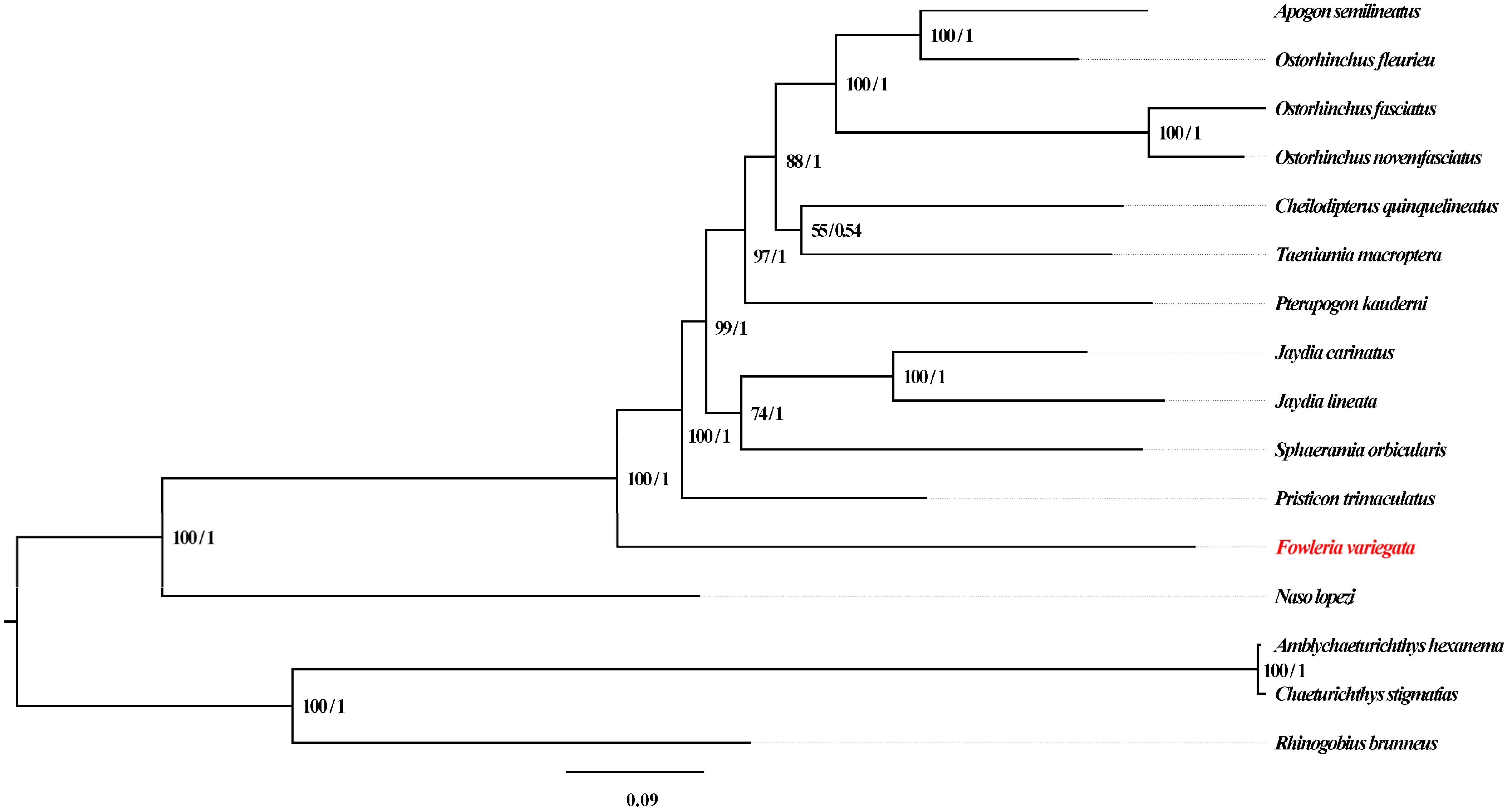 Genes | Free Full-Text | A Comprehensive Analysis of the Fowleria ...