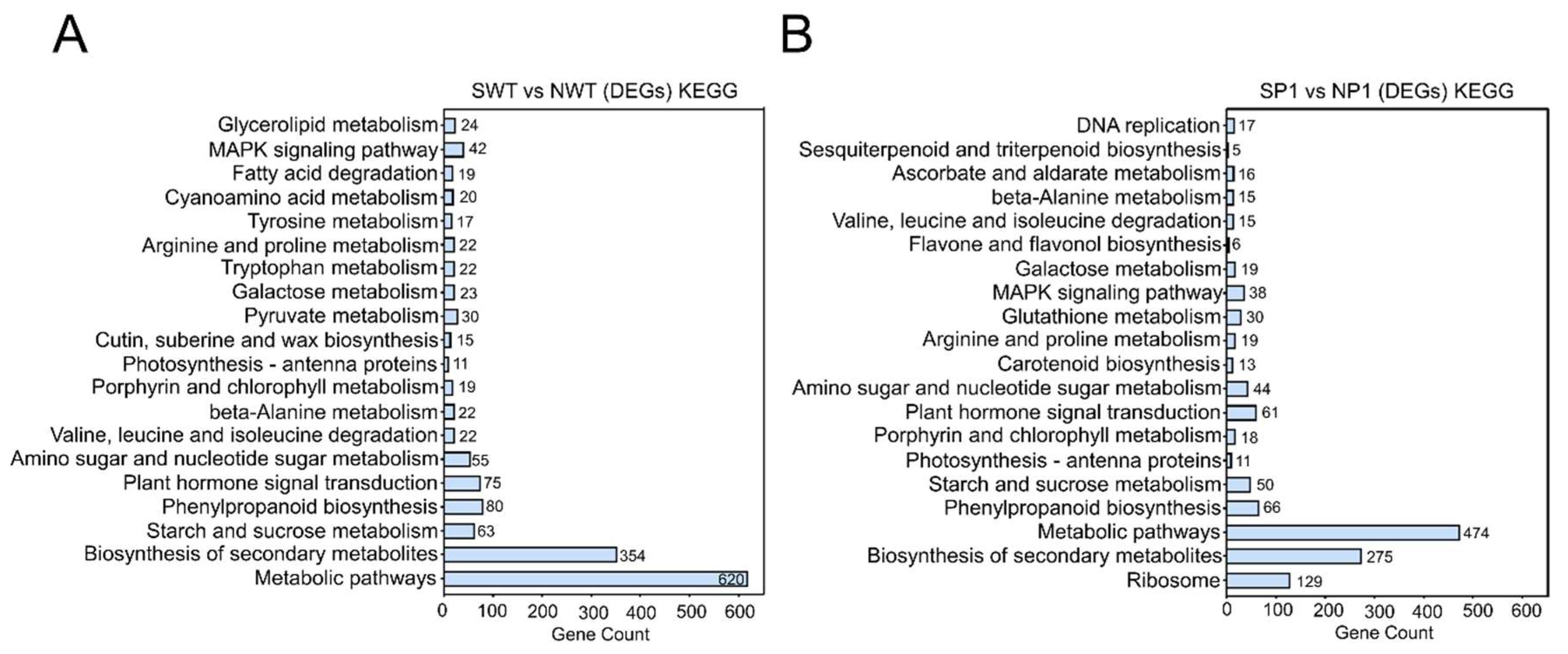 Genes 14 01621 g007