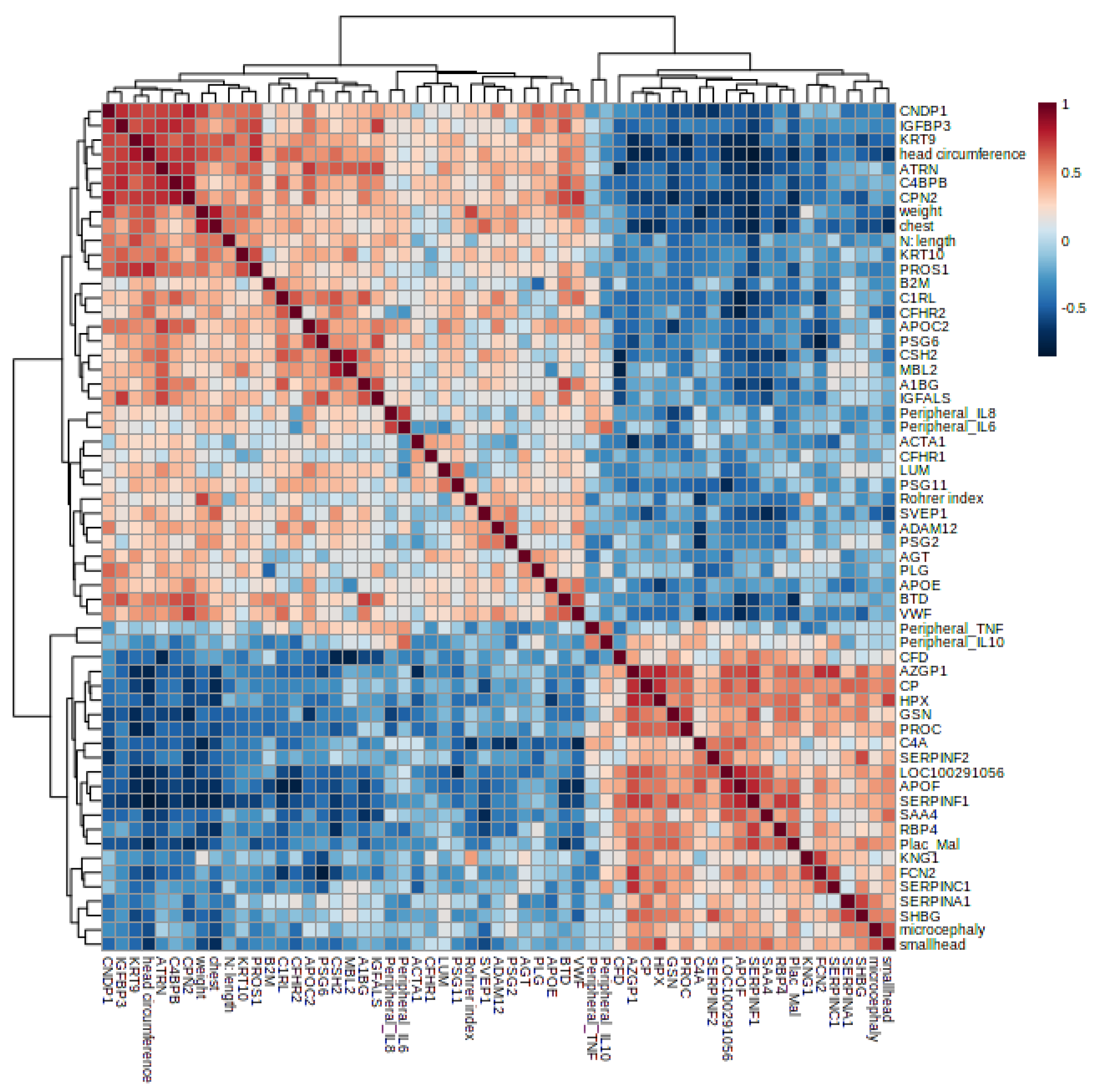 Genes 14 01624 g008 Genes 14 01624 g008