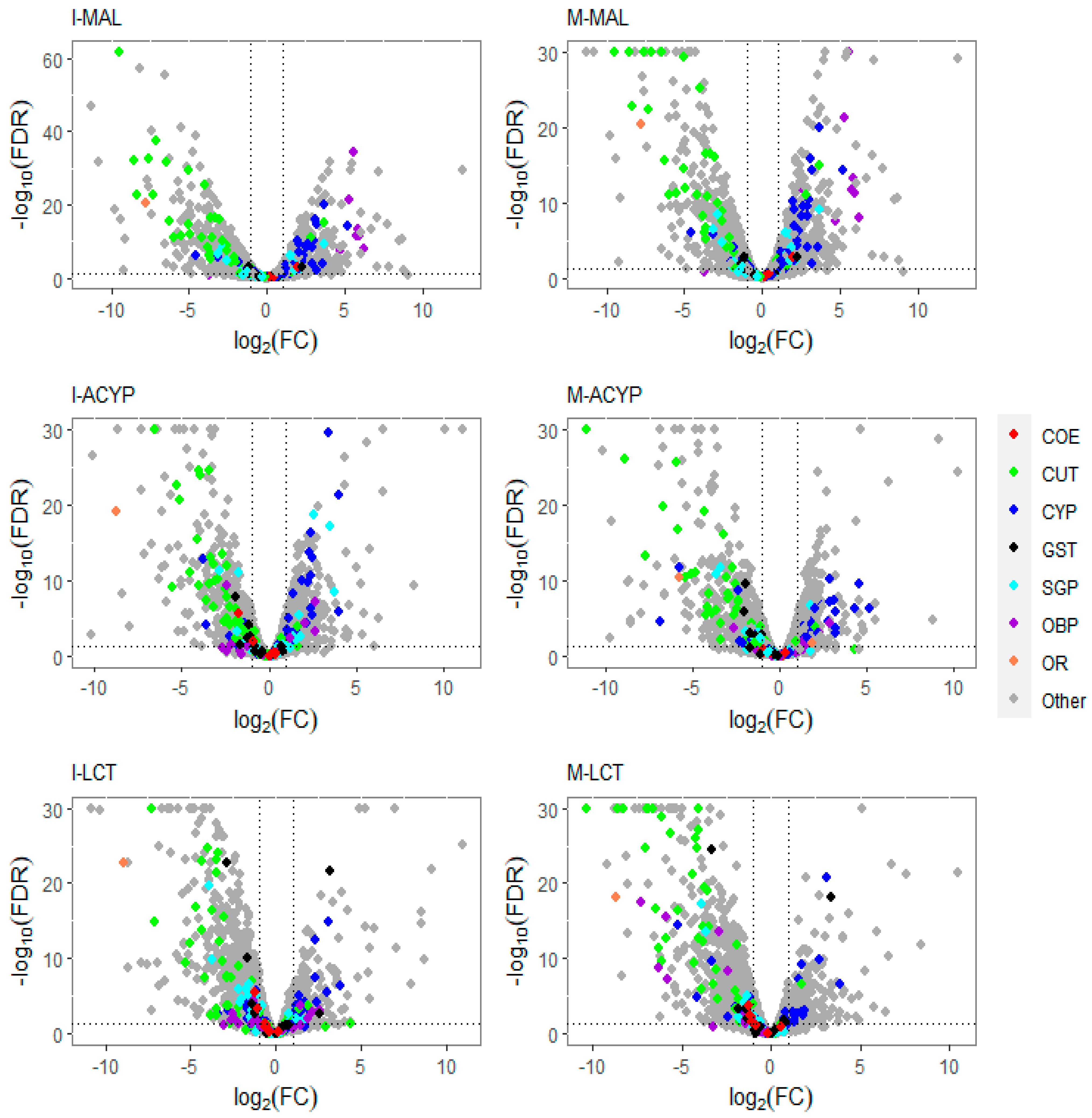 PDF) A genomic amplification affecting a carboxylesterase gene cluster  confers organophosphate resistance in the mosquito Aedes aegypti : From  genomic characterization to high‐throughput field detection