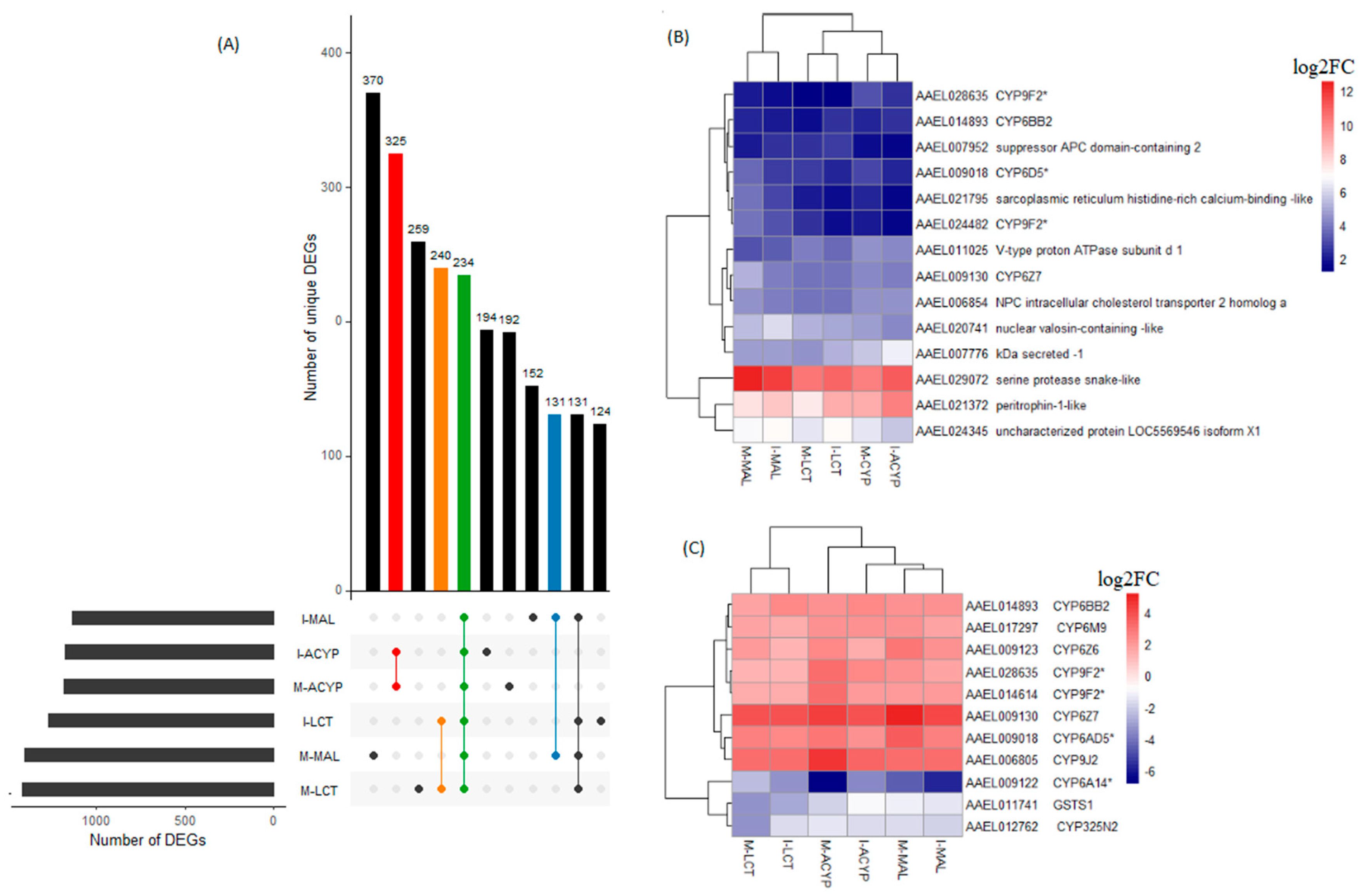 Genes 14 01626 g005 Genes 14 01626 g005
