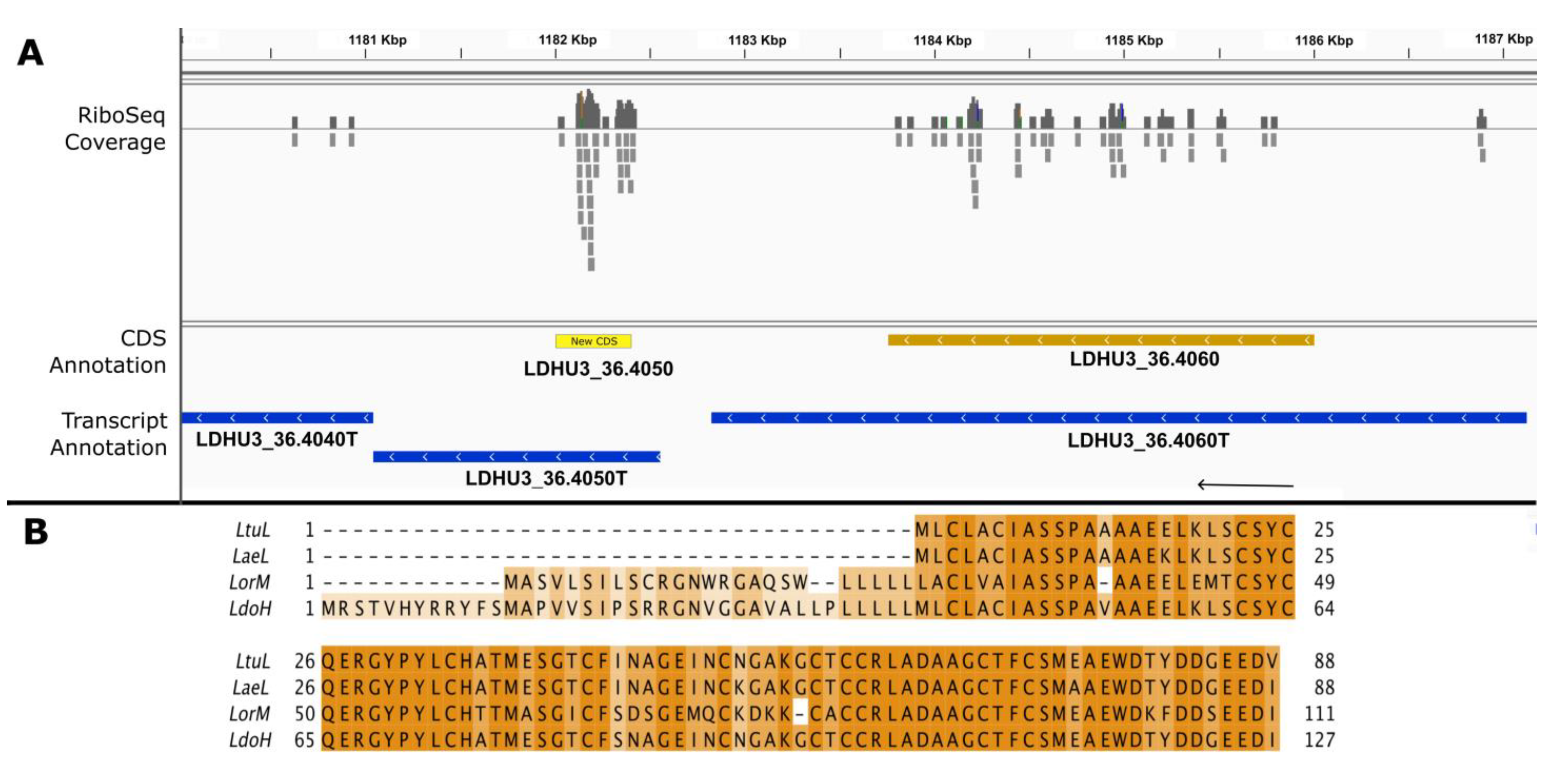Genes | Free Full-Text | Refinement of Leishmania donovani Genome  Annotations in the Light of Ribosome-Protected mRNAs Fragments (Ribo-Seq  Data)
