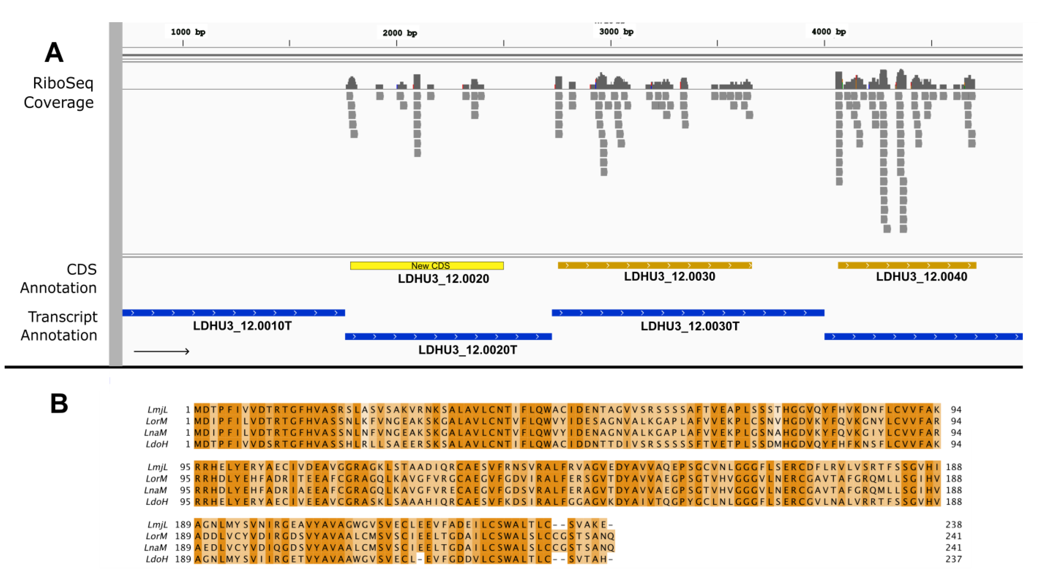 Genes 14 01637 g002
