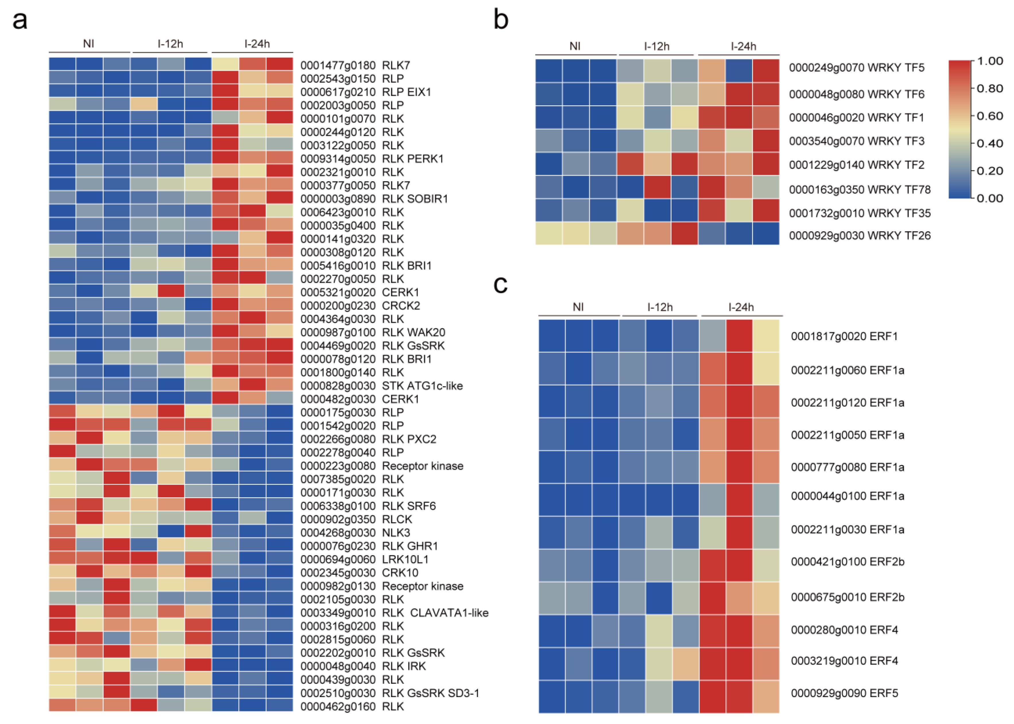 Genes 14 01640 g003